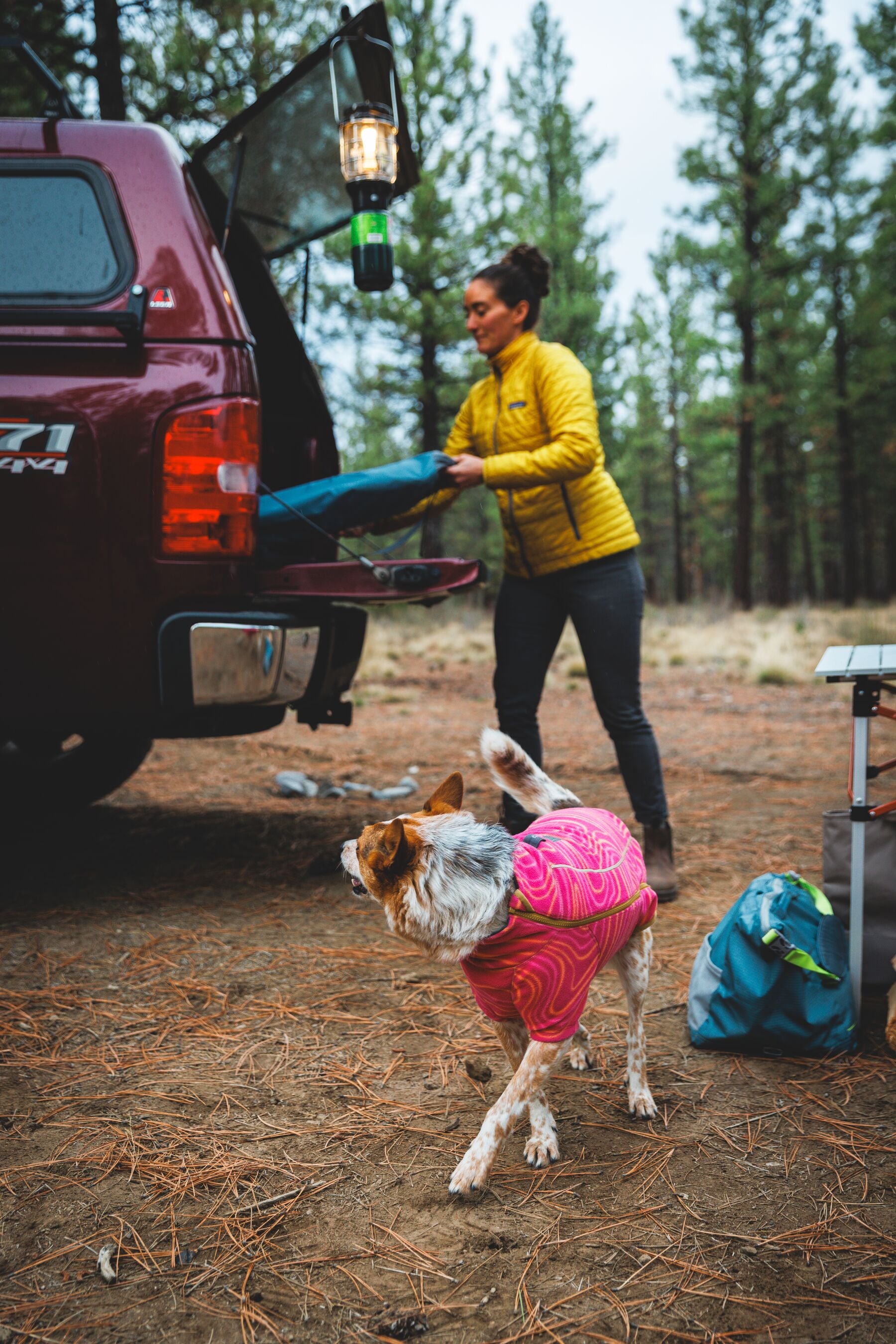 Cama Elevada, Portátil y Ligera para Perros Mt. EverRest™ | Ruffwear