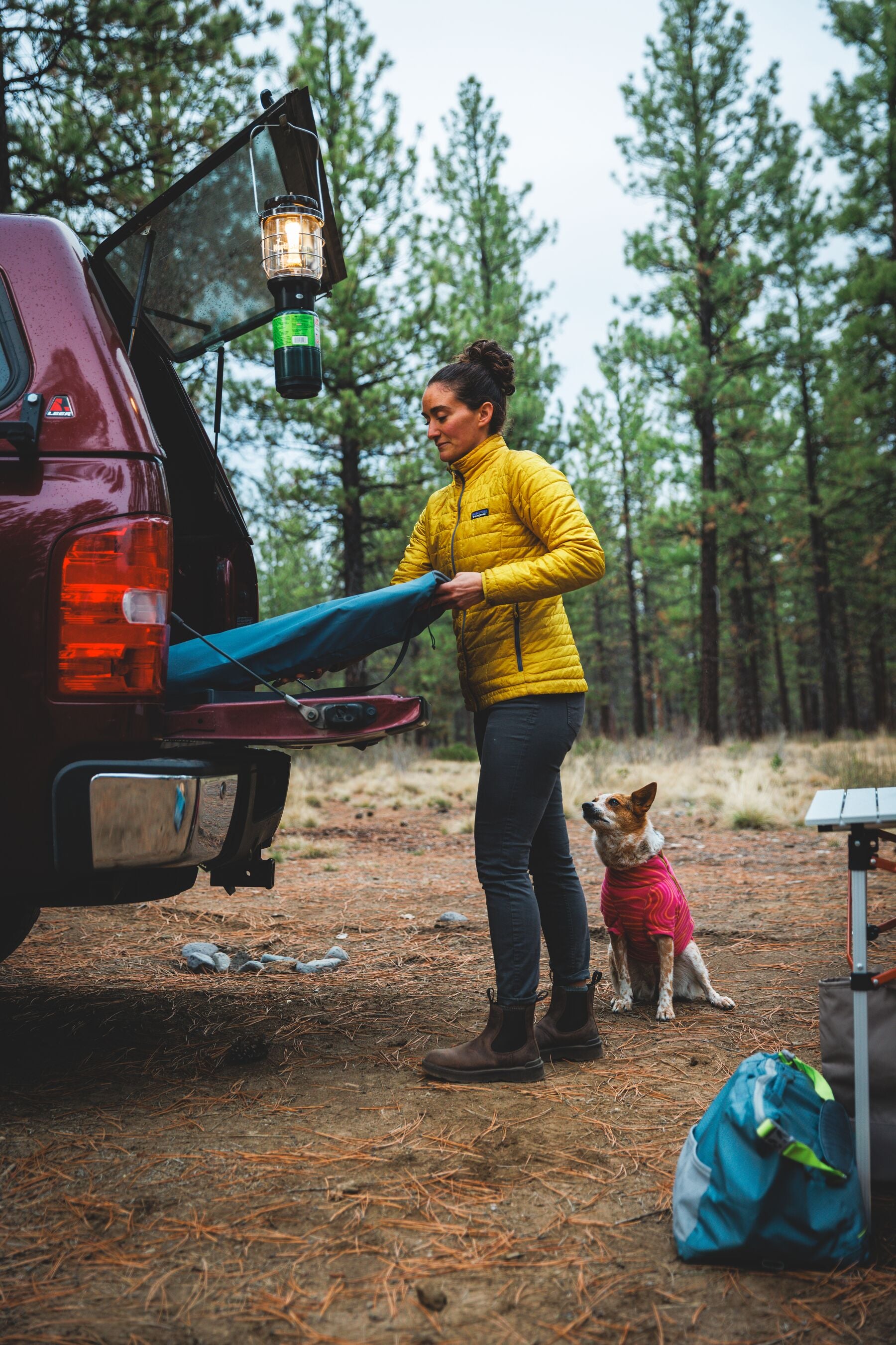 Cama Elevada, Portátil y Ligera para Perros Mt. EverRest™ | Ruffwear