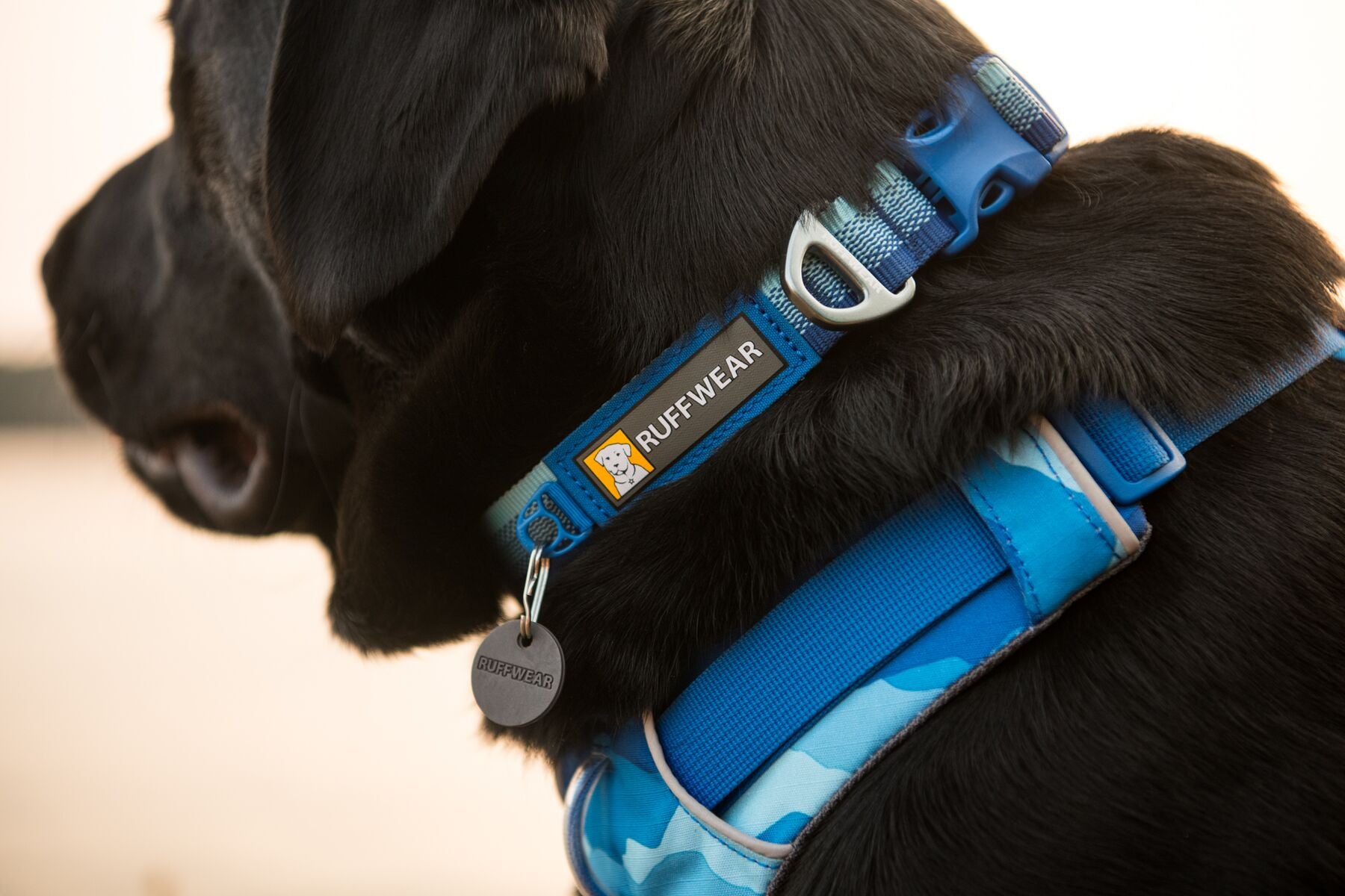 Pechera Para Perro Front Range Harness Coastal Mountains de