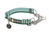 Collar para Perros Modelo Chain Reaction Verde (River Rock Green) - Ruffwear