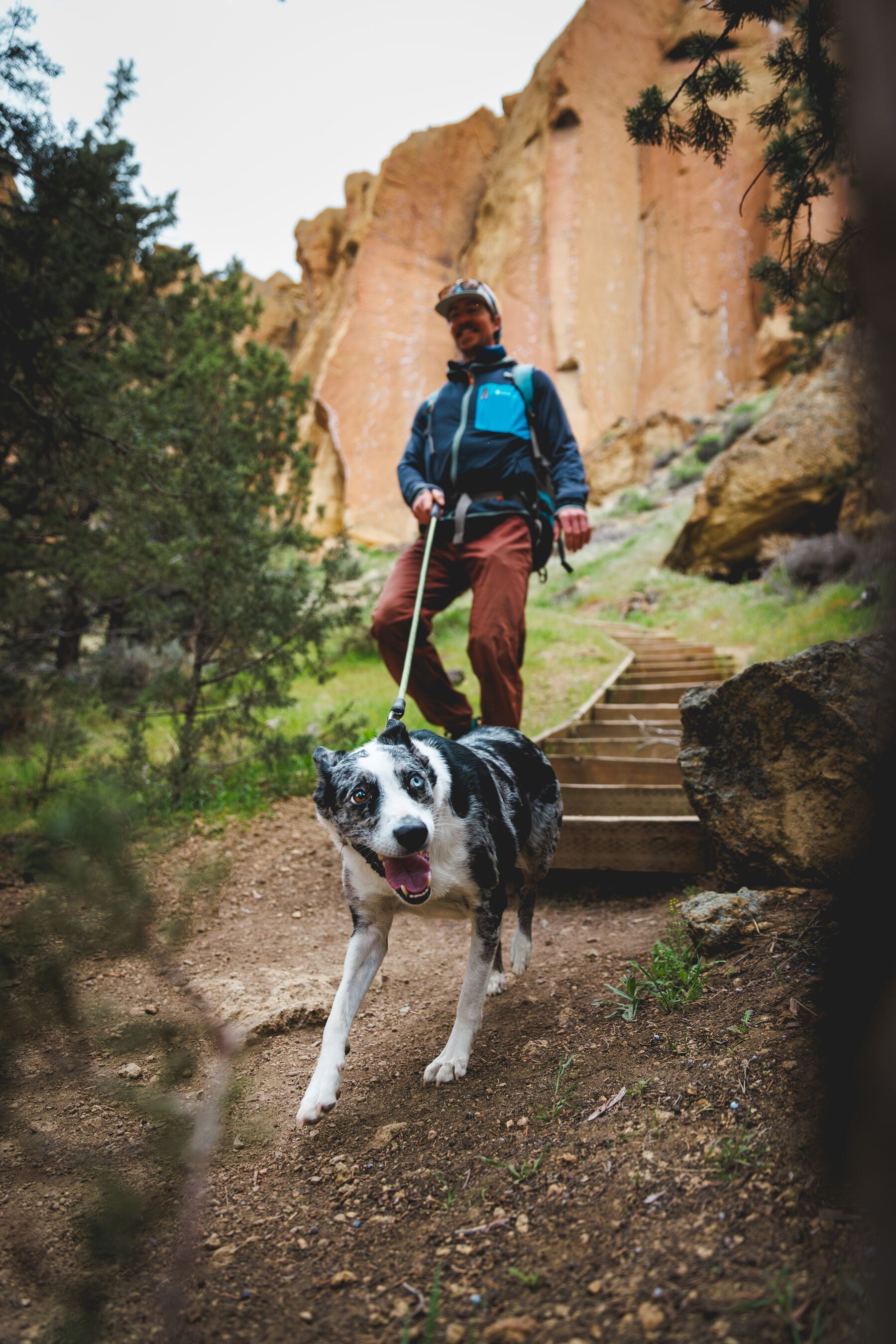 Correa de Cuerda Knot-a-Leash para Perros - Negra (Obsidian Black) | Ruffwear