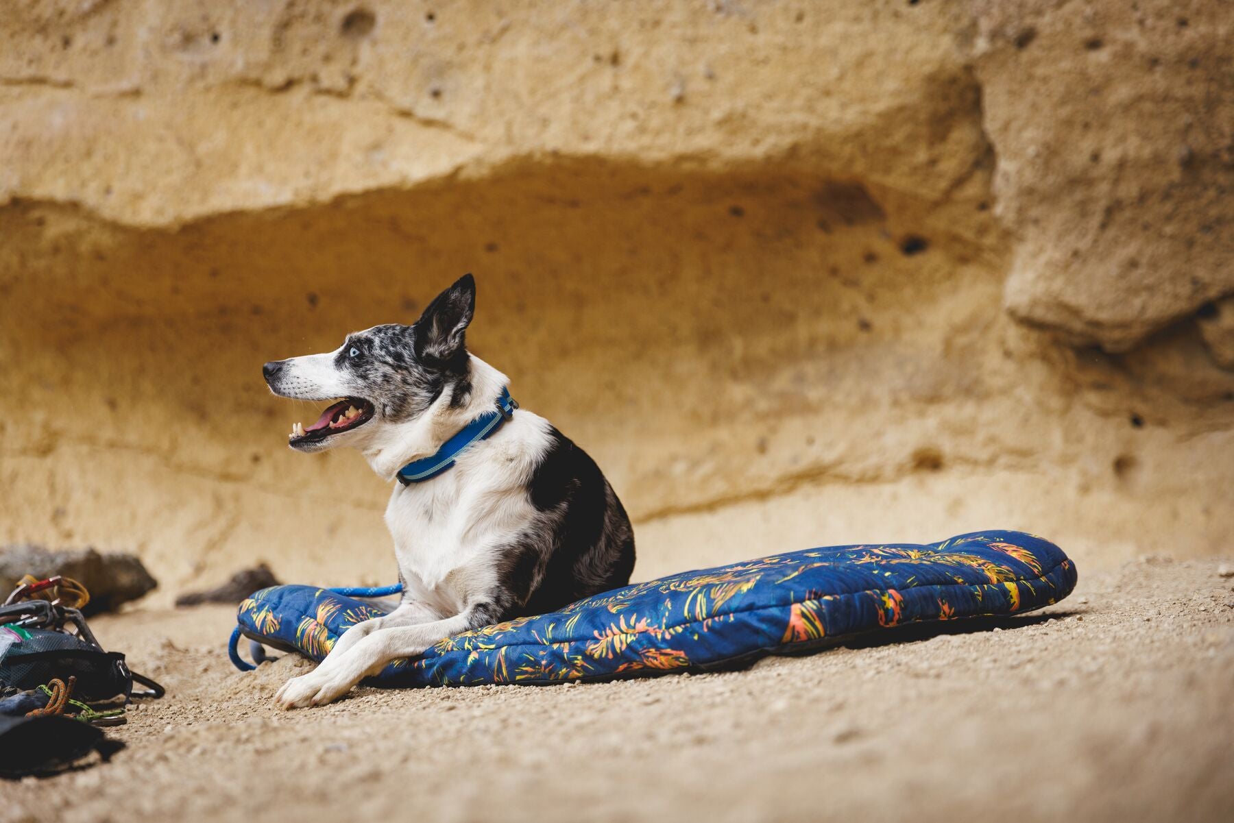 Cama Híbrida de Viaje y Para Casa para Perros Basecamp™ - Deep Jungle | Ruffwear