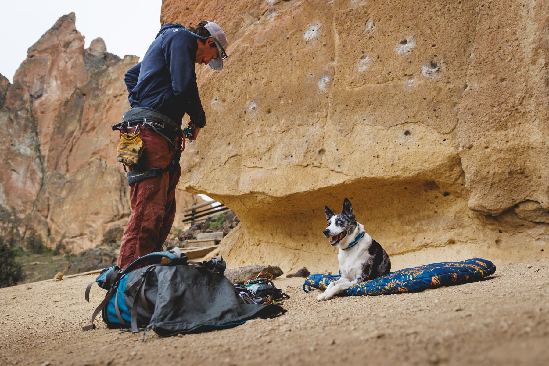 Cama Híbrida de Viaje y Para Casa para Perros Basecamp™ - Sweeping Sage | Ruffwear (Copy)