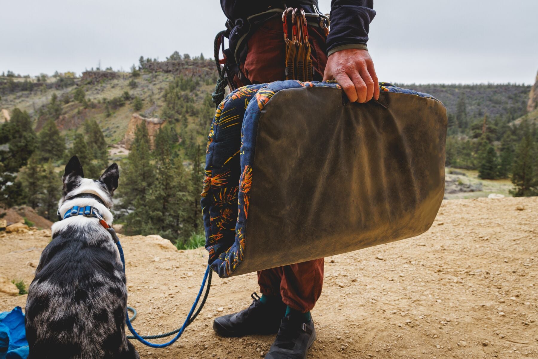 Cama Híbrida de Viaje y Para Casa para Perros Basecamp™ - Sweeping Sage | Ruffwear (Copy)