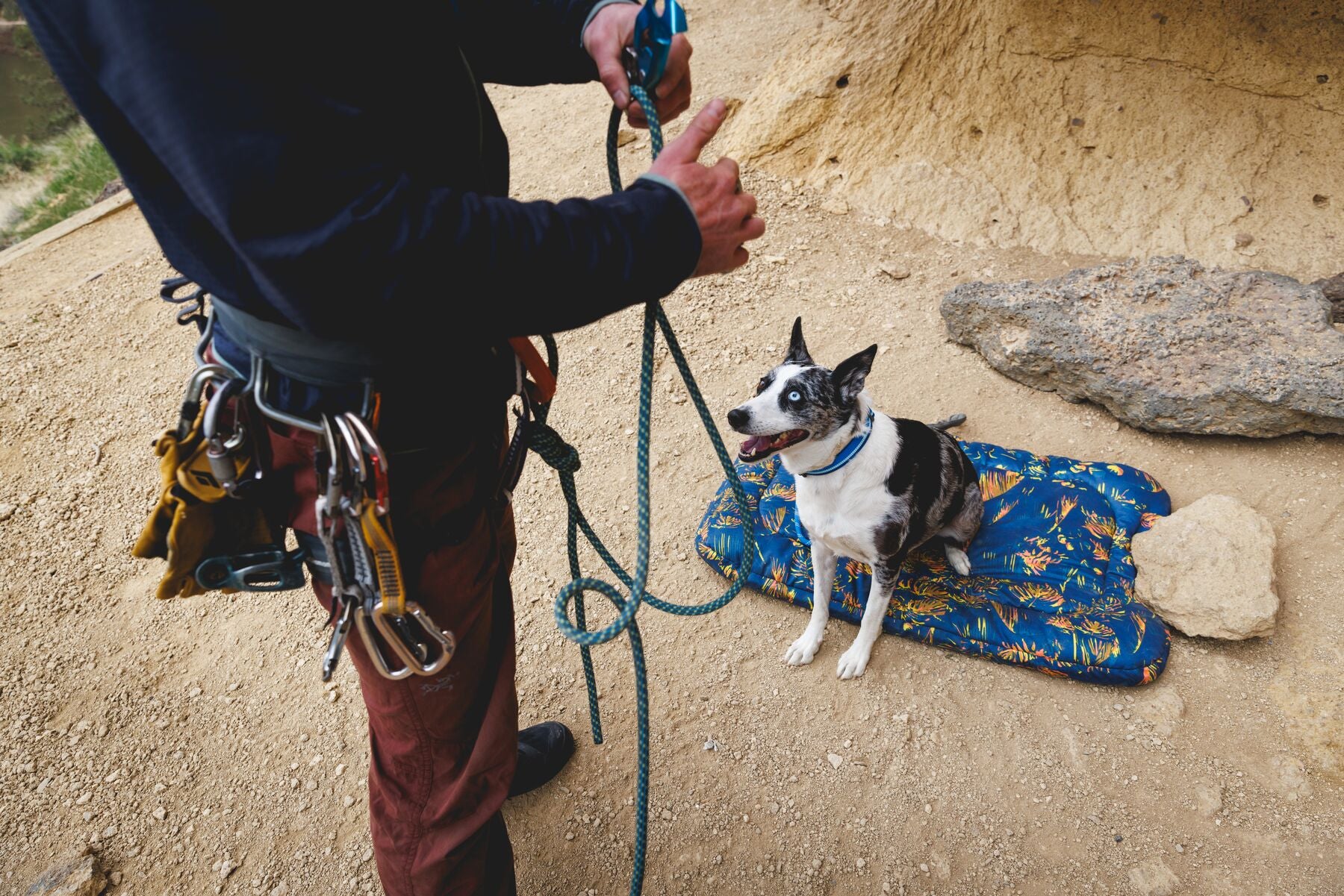 Cama Híbrida de Viaje y Para Casa para Perros Basecamp™ - Sweeping Sage | Ruffwear (Copy)