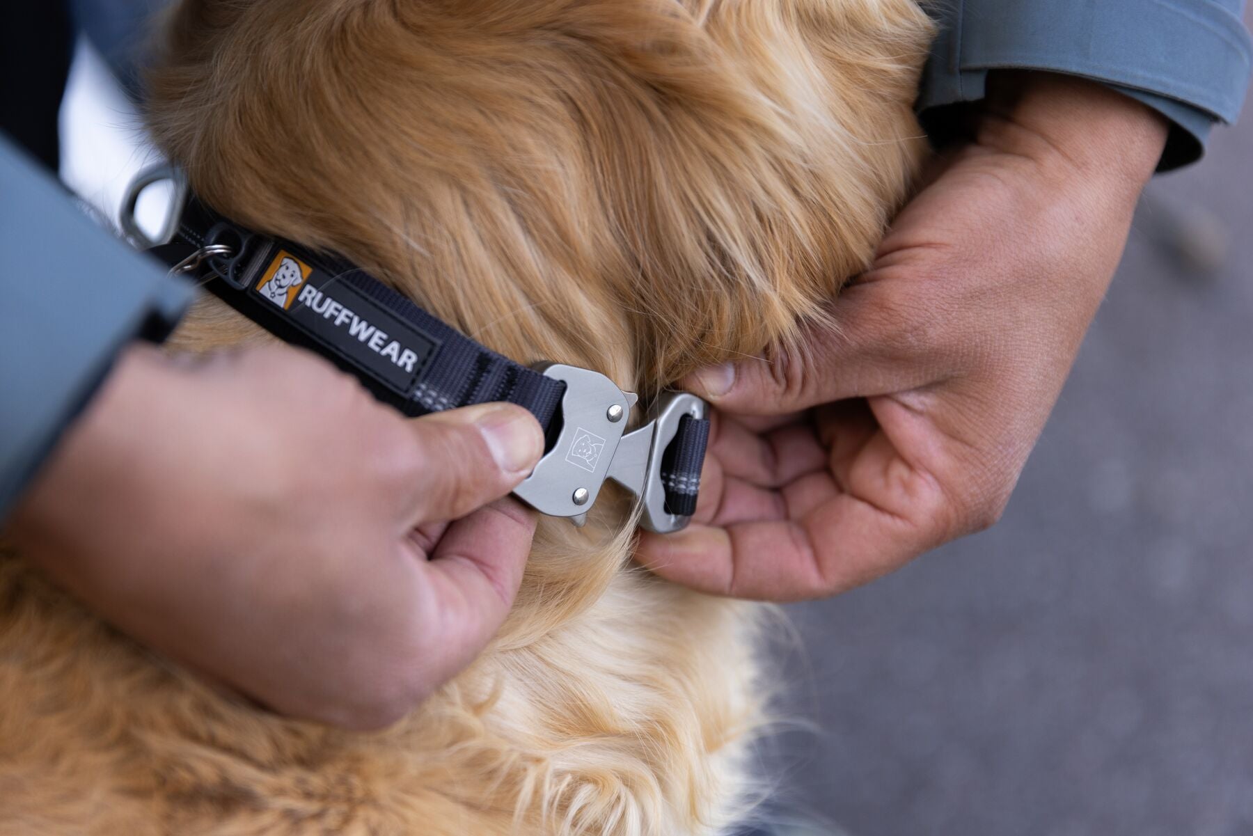 Collar Para Perro Top Rope™ con Hebilla Metálica - Gris (Basalt Gray) | Ruffwear