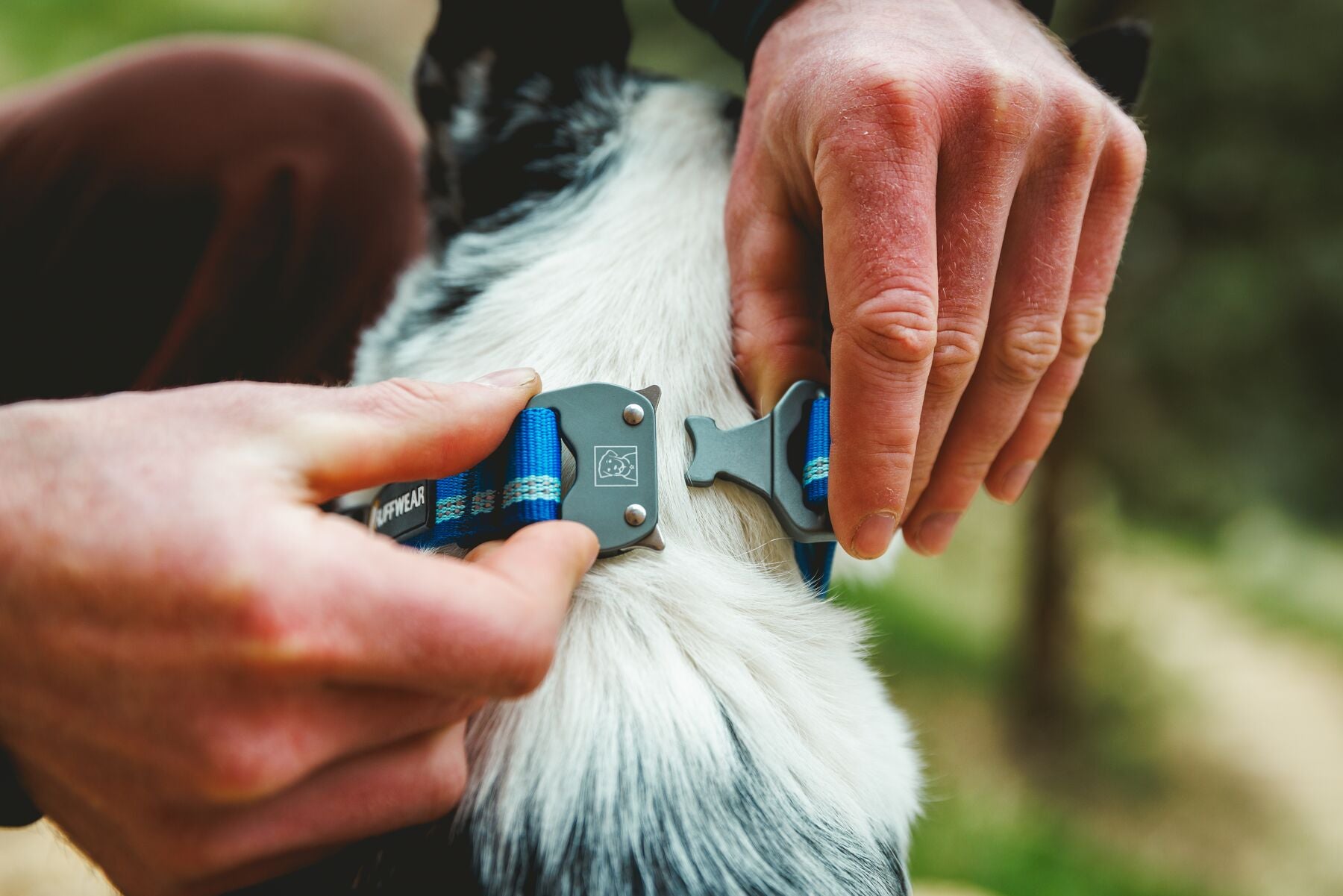 Collar Para Perro Top Rope™ con Hebilla Metálica - Gris (Basalt Gray) | Ruffwear