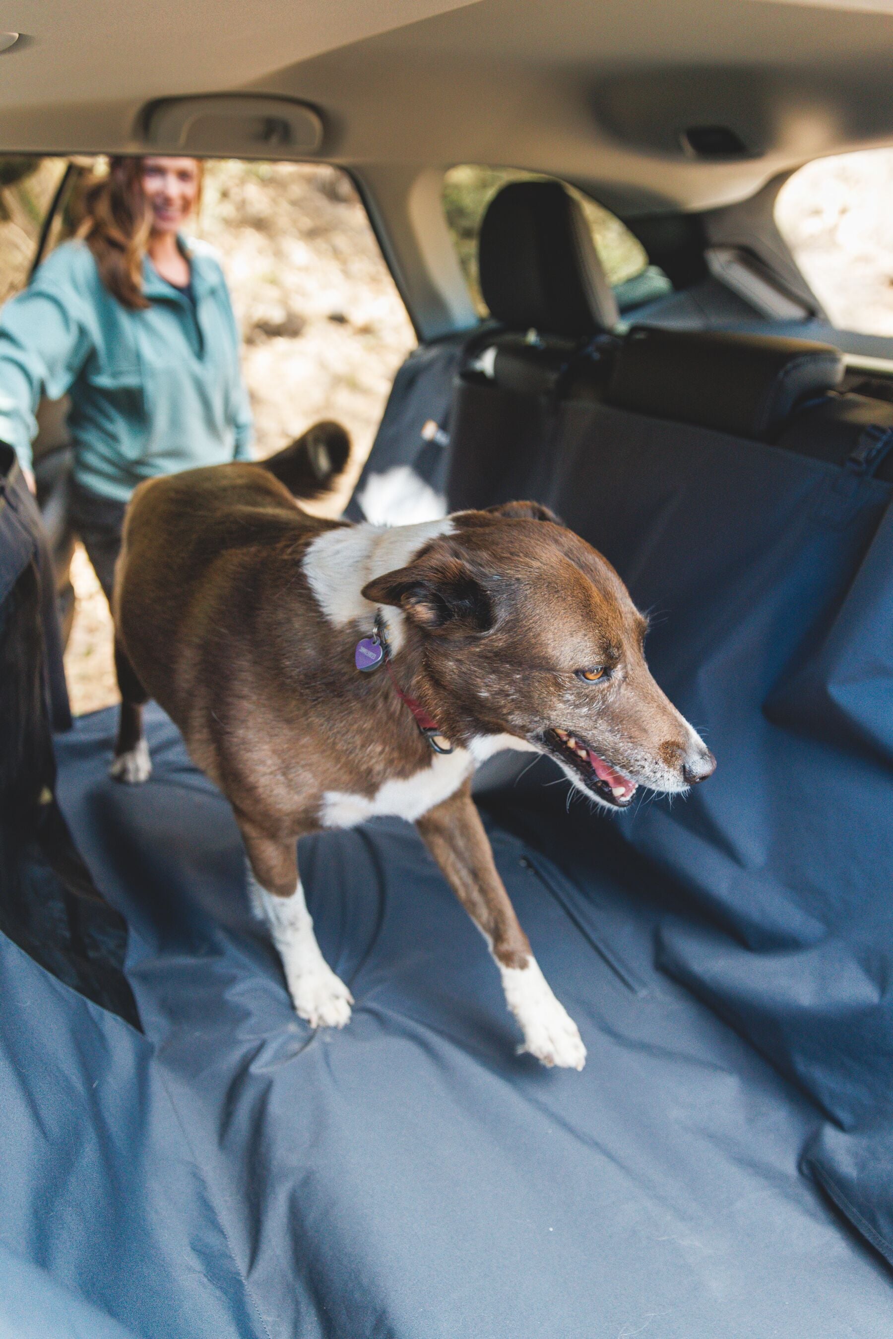 Dirtbag™ Seat Cover Basalt Gray - Protector Impermeable y Hamaca para Asientos de Coche | Ruffwear®