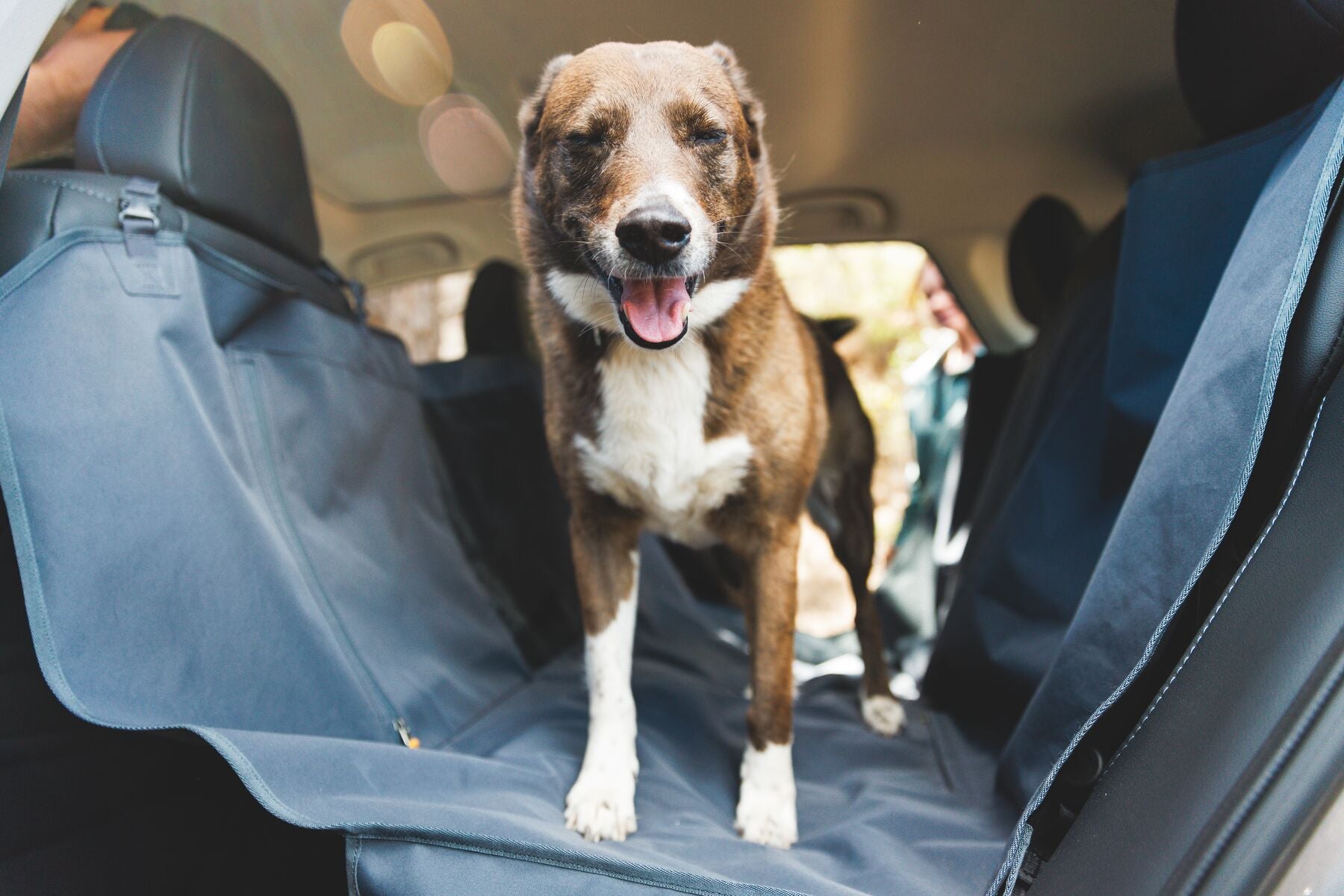 Dirtbag™ Seat Cover Basalt Gray - Protector Impermeable y Hamaca para Asientos de Coche | Ruffwear®