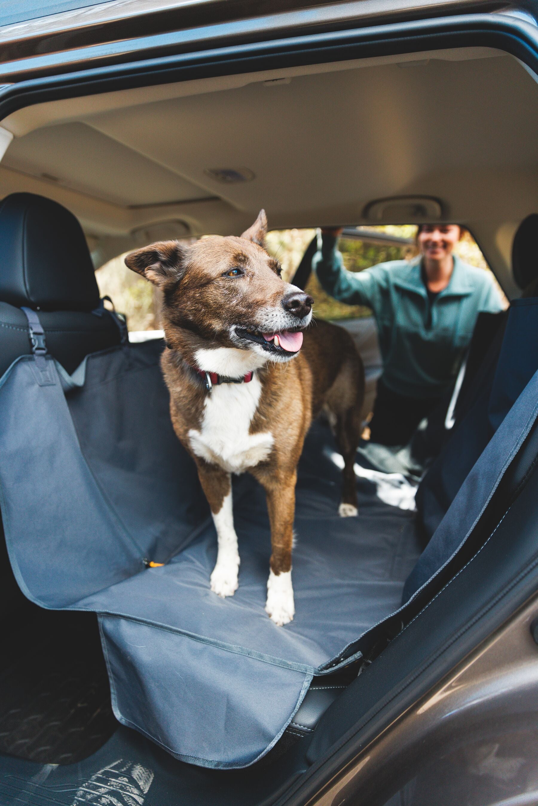 Dirtbag™ Seat Cover Basalt Gray - Protector Impermeable y Hamaca para Asientos de Coche | Ruffwear®