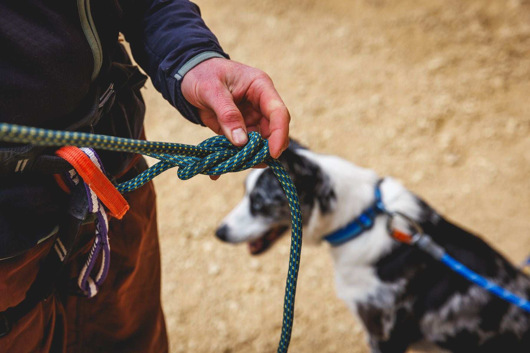 Collar Para Perro Top Rope™ con Hebilla Metálica - Gris (Basalt Gray) | Ruffwear