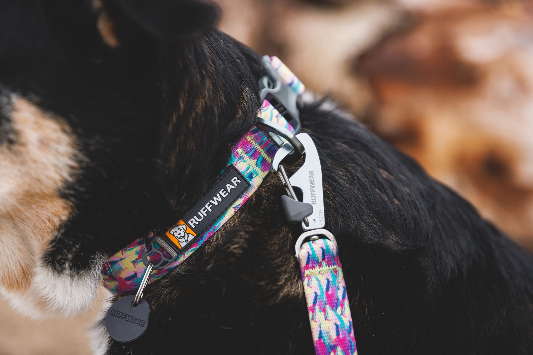 Collar para Perros Front Range® - Patrón Wildflower | Ruffwear