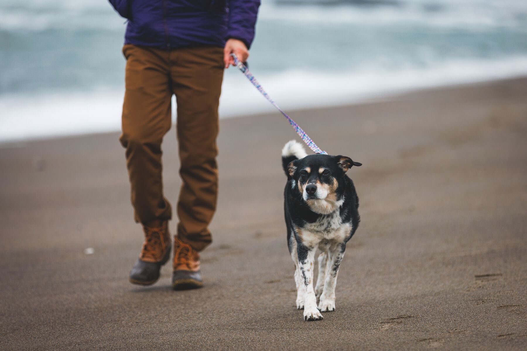 Correa para Perros Front Range® - Patrón Mountains Logo | Ruffwear