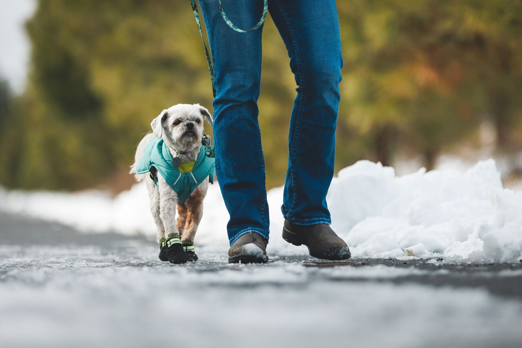 Correa para Perros Front Range® - Patrón Mountains Logo | Ruffwear