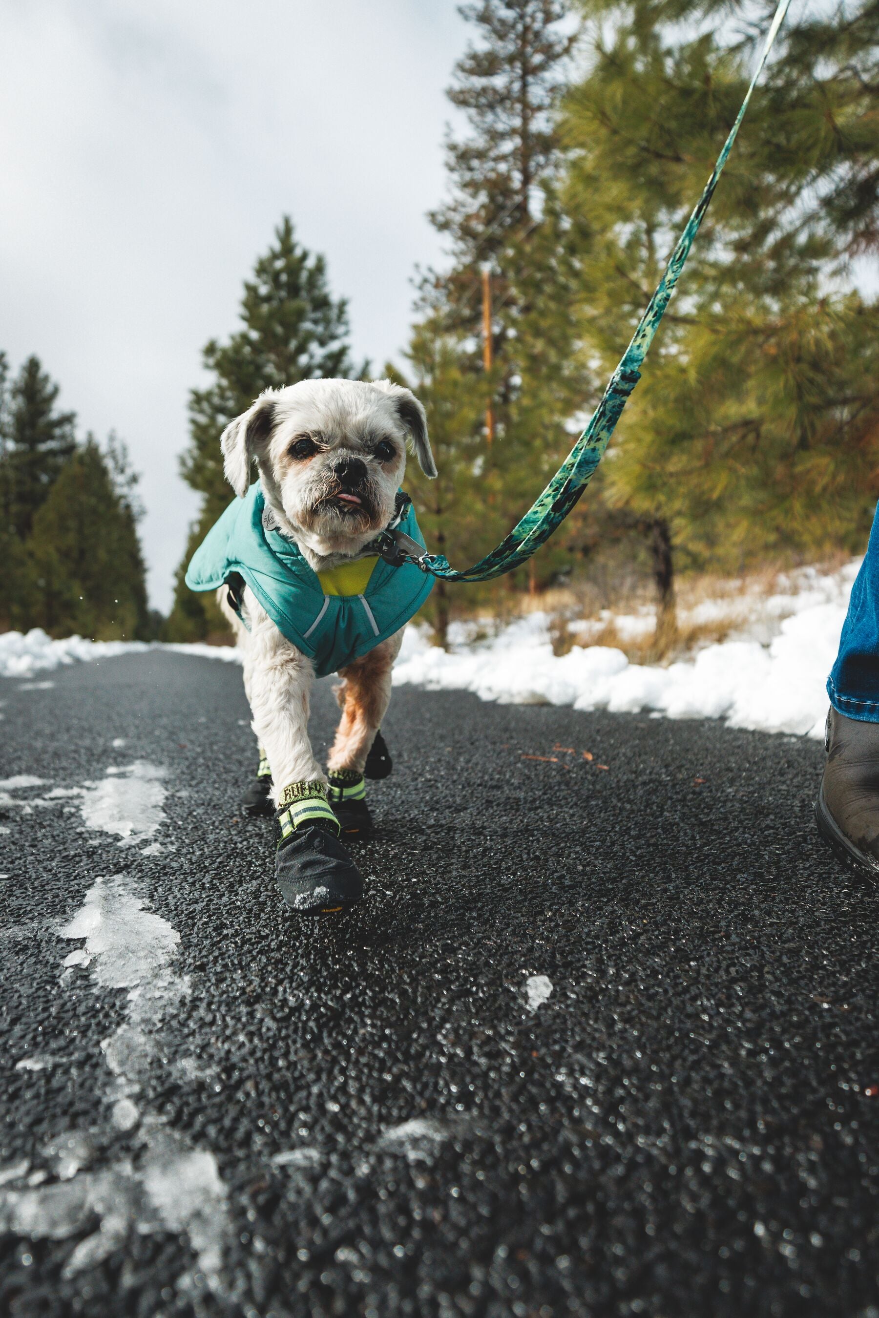 Correa para Perros Front Range® - Patrón Mountains Logo | Ruffwear