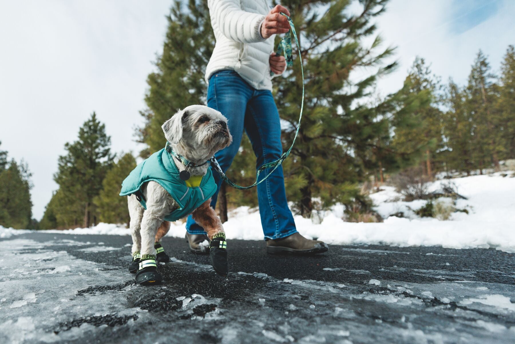 Collar para Perros Front Range® - Patrón Wildflower | Ruffwear