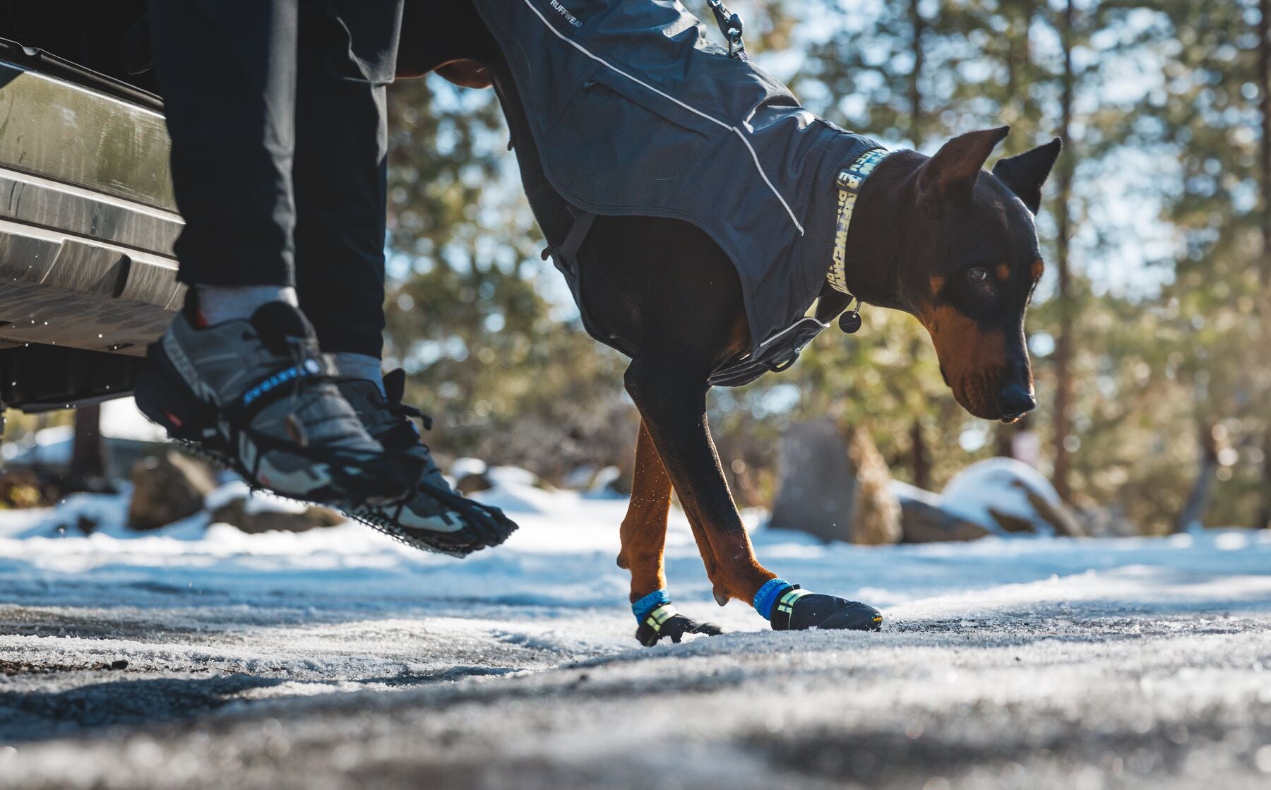 Collar para Perros Front Range® - Patrón Wildflower | Ruffwear