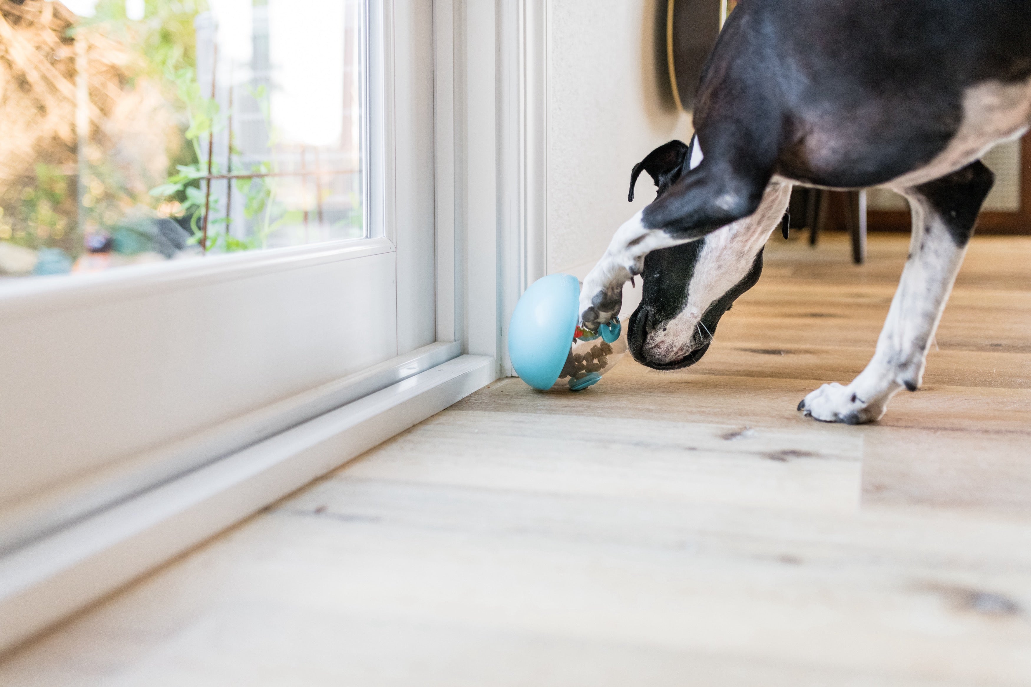 Wobble Ball Juguete Dispensador de Premios para Perros - Azul | Pet P.L.A.Y.