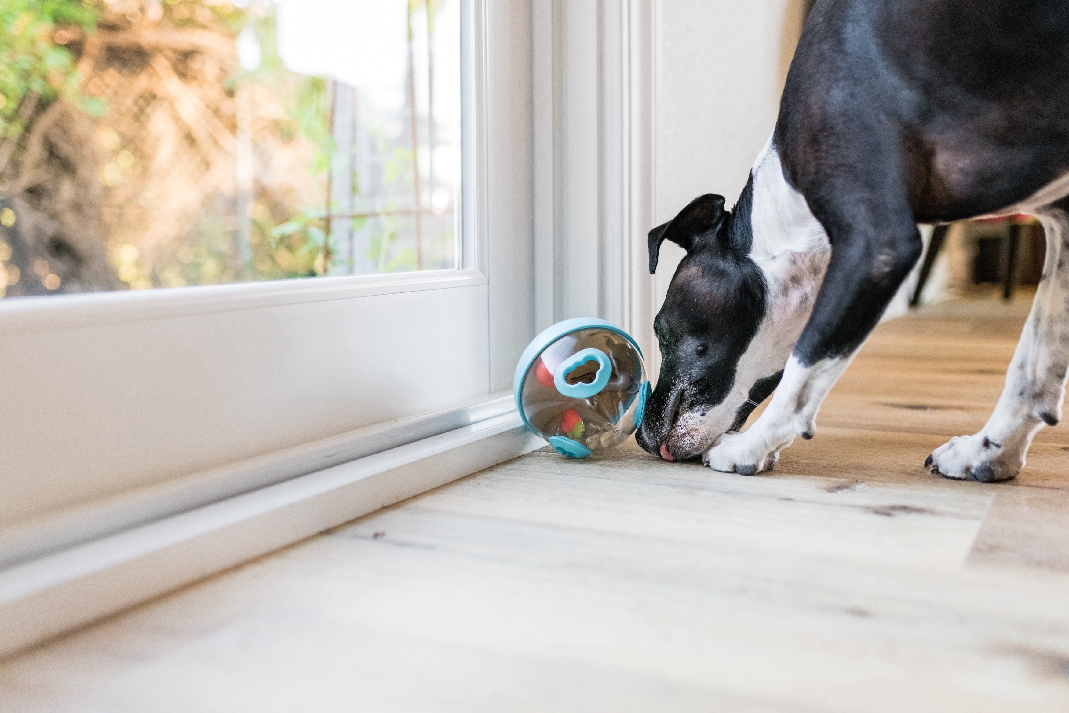 Wobble Ball Juguete Dispensador de Premios para Perros - Azul | Pet P.L.A.Y.