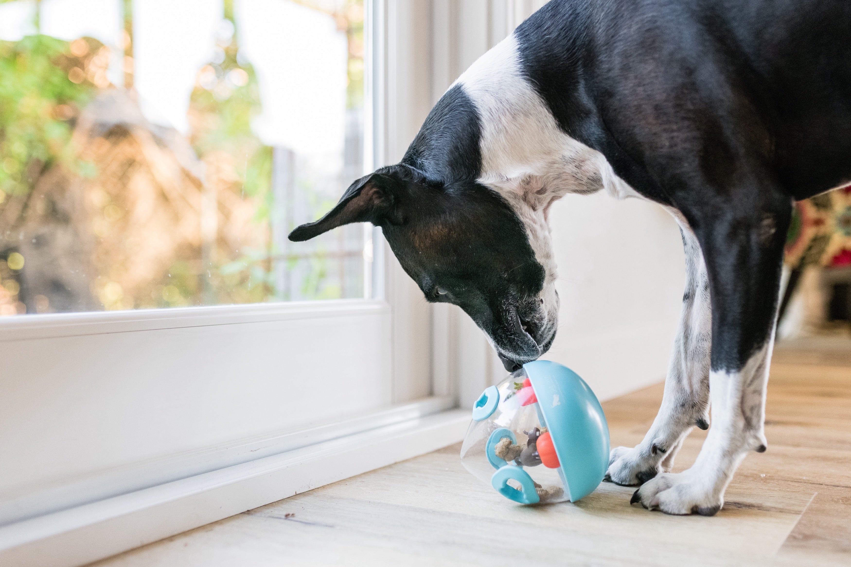 Wobble Ball Juguete Dispensador de Premios para Perros - Azul | Pet P.L.A.Y.