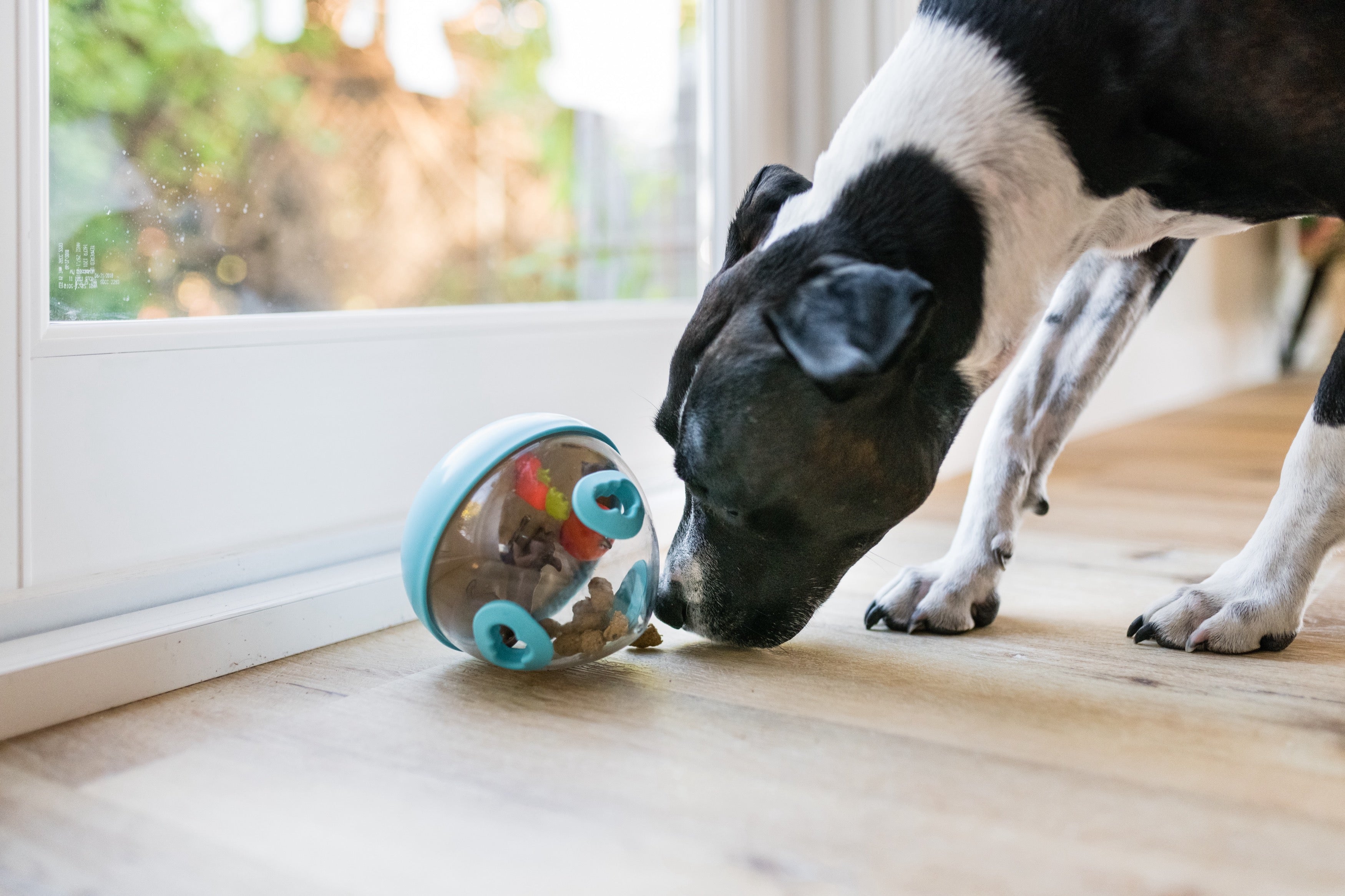 Wobble Ball Juguete Dispensador de Premios para Perros - Azul | Pet P.L.A.Y.