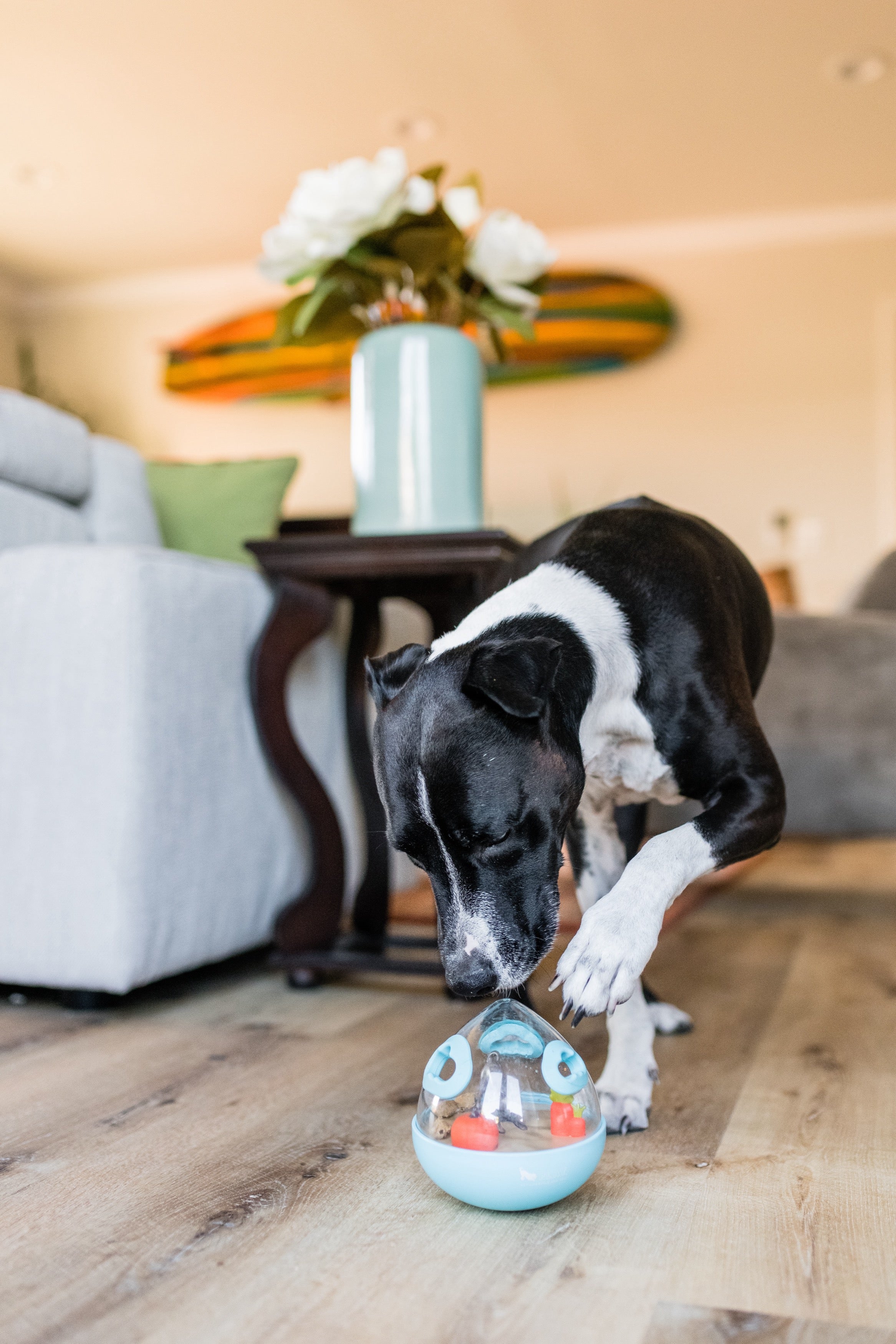 Wobble Ball Juguete Dispensador de Premios para Perros - Azul | Pet P.L.A.Y.