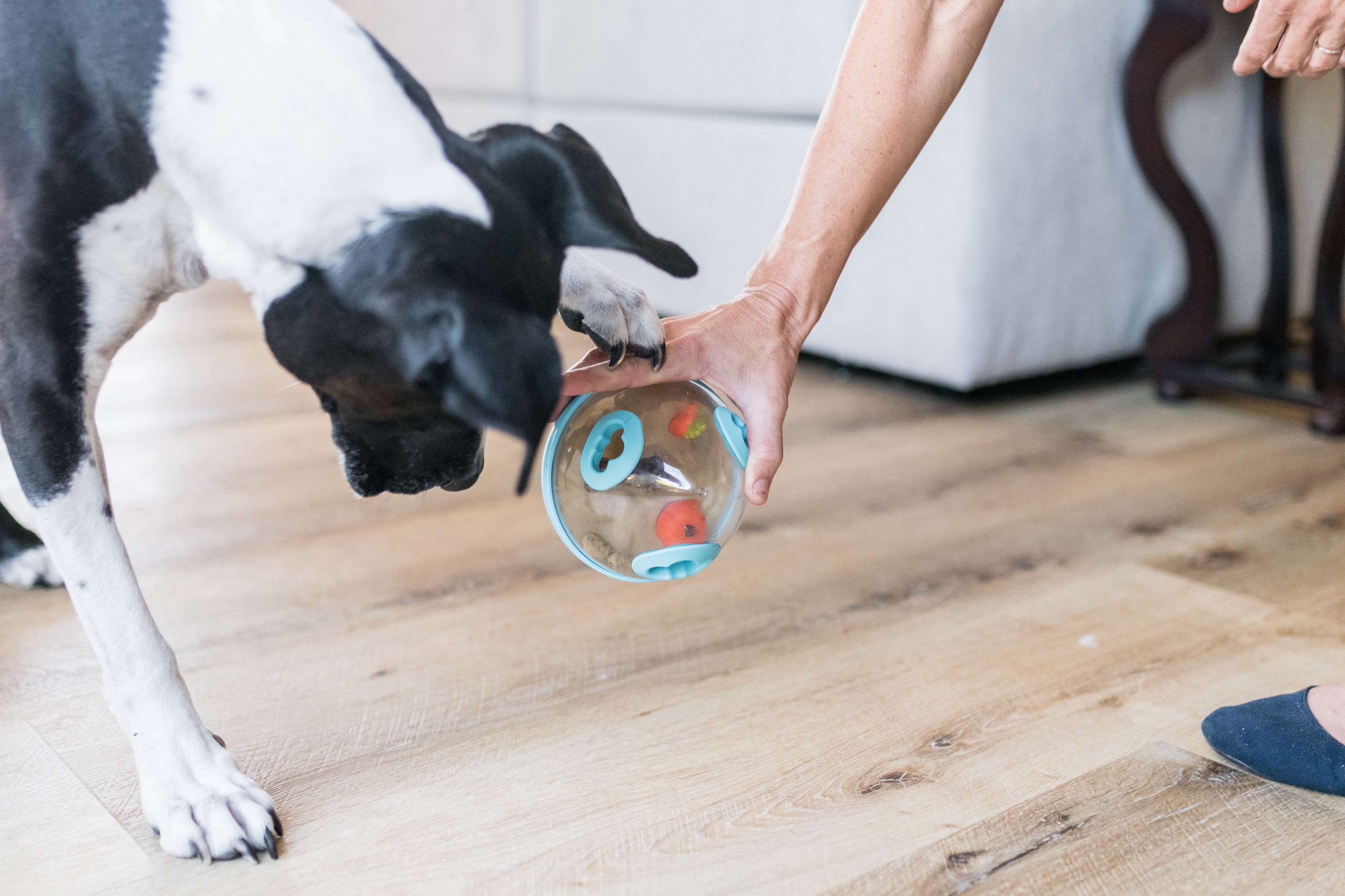 Wobble Ball Juguete Dispensador de Premios para Perros - Azul | Pet P.L.A.Y.