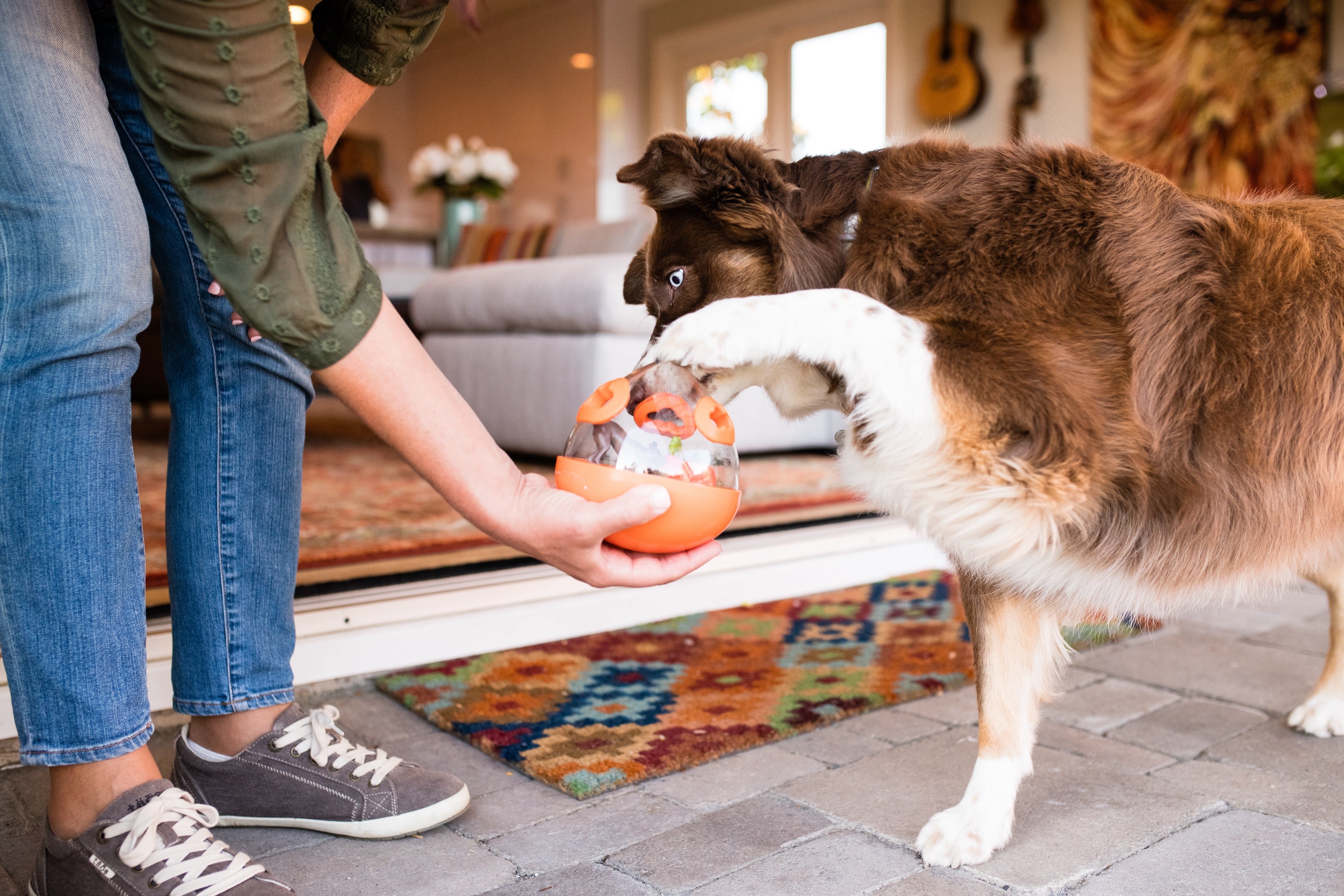 Wobble Ball Juguete Dispensador de Premios para Perros - Naranja | Pet P.L.A.Y.