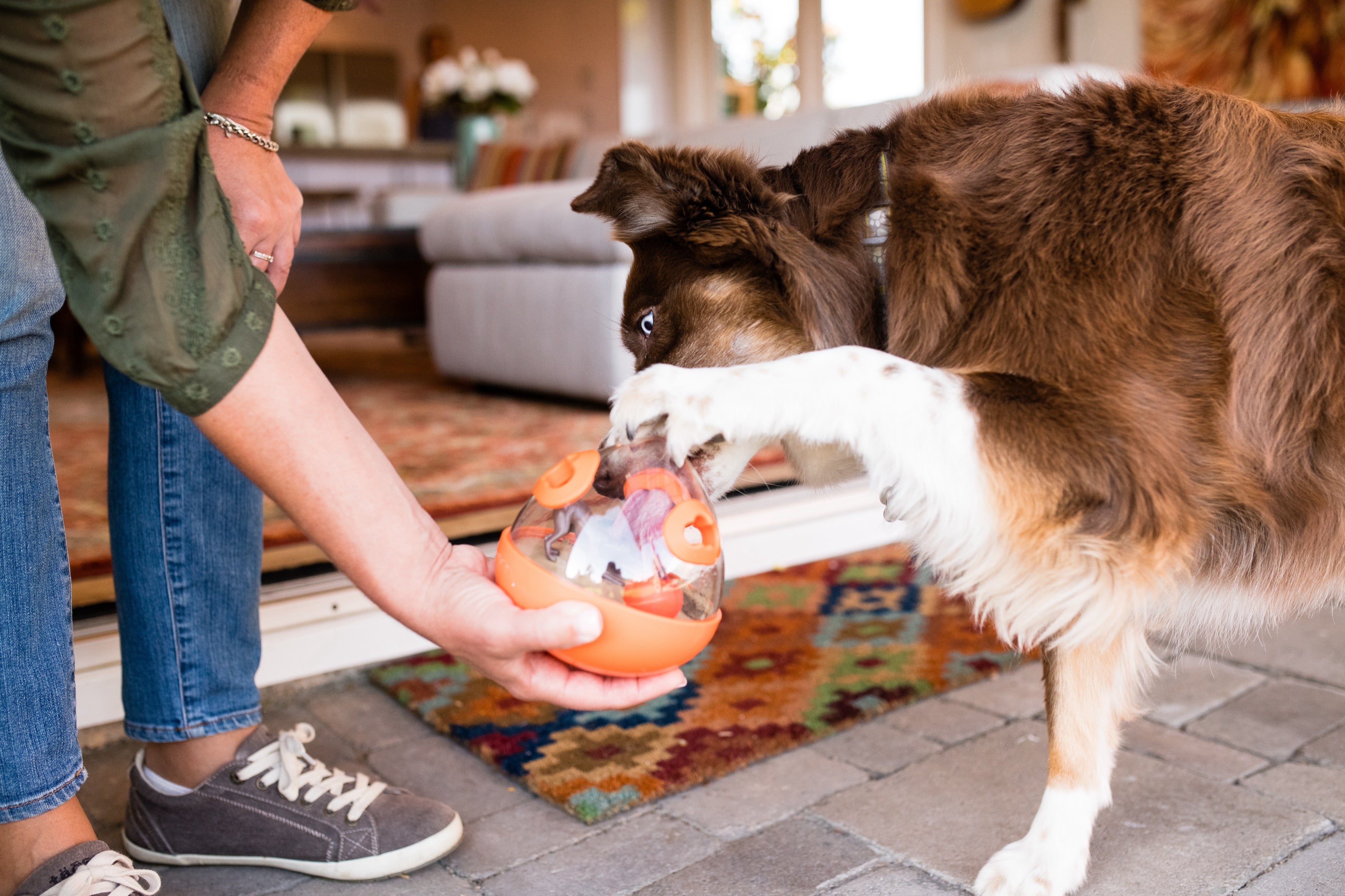 Wobble Ball Juguete Dispensador de Premios para Perros - Naranja | Pet P.L.A.Y.