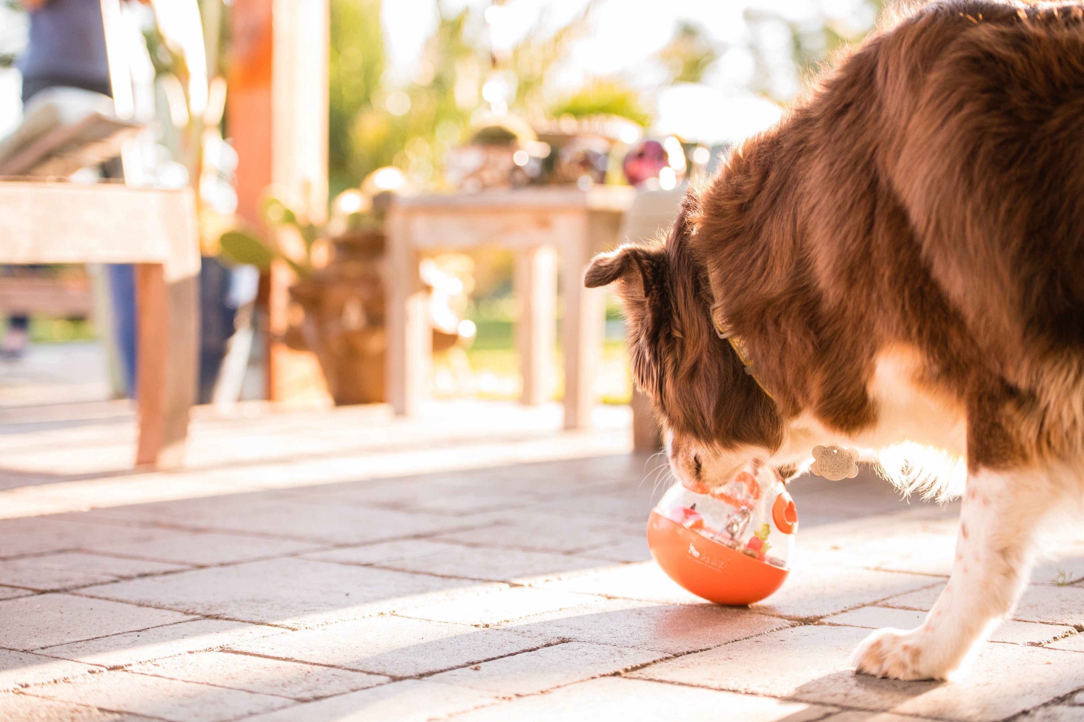 Wobble Ball Juguete Dispensador de Premios para Perros - Naranja | Pet P.L.A.Y.