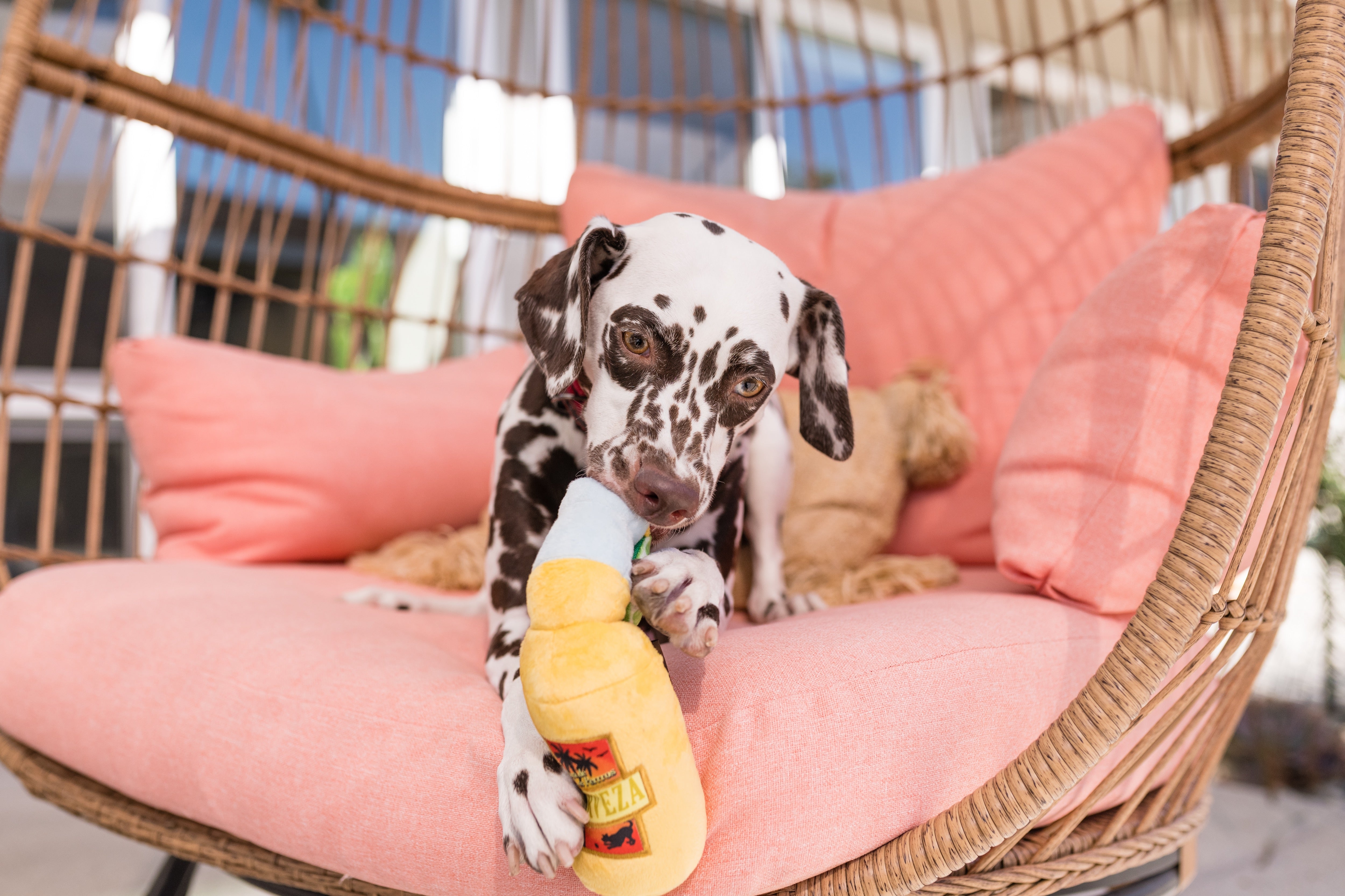 La Cerveza Tropical - Juguete de Peluche para Perros Tropical Paradise™ | Pet P.L.A.Y.