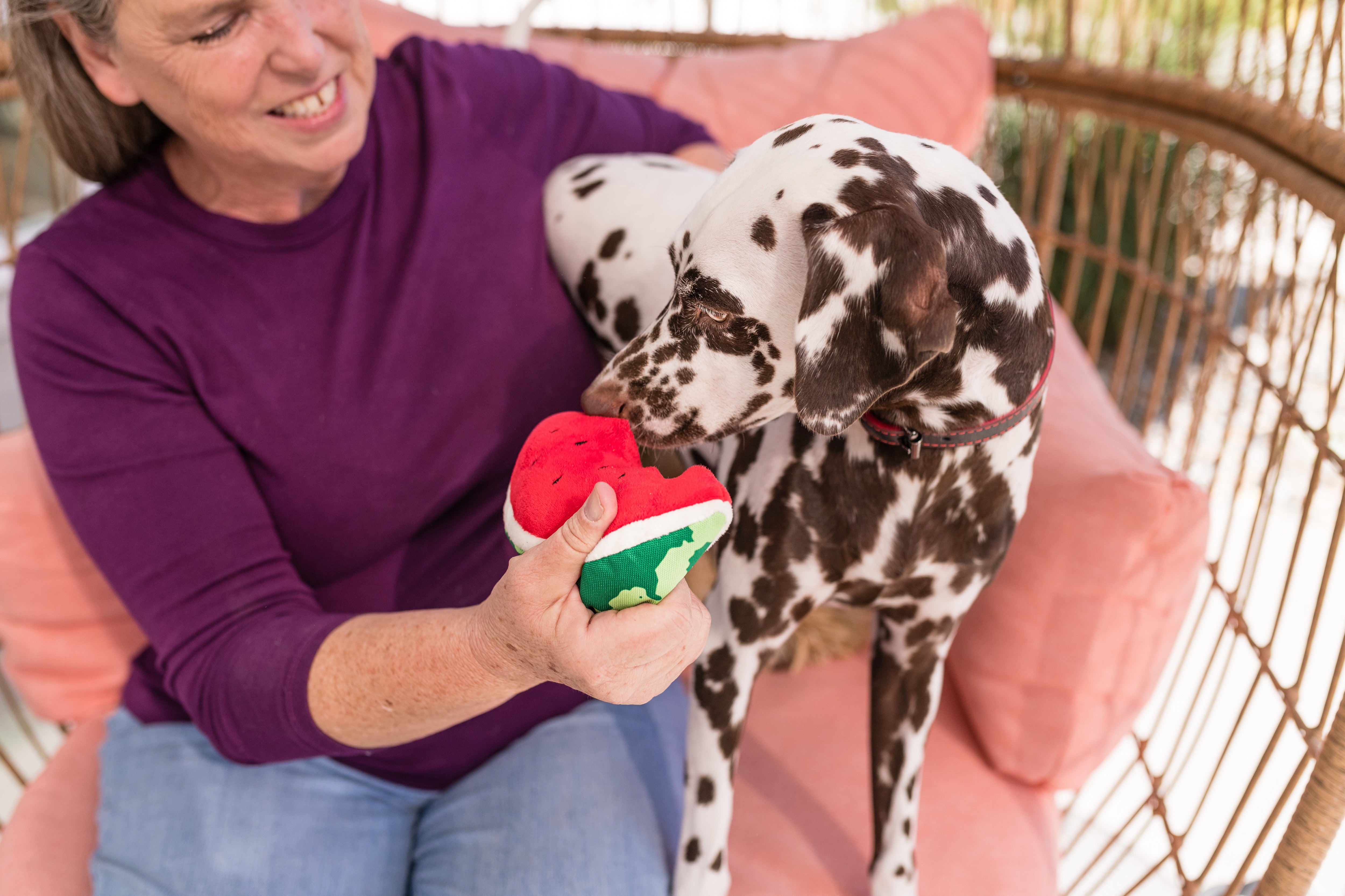 La Sandía - Juguete de Peluche para Perros Tropical Paradise™ | Pet P.L.A.Y.