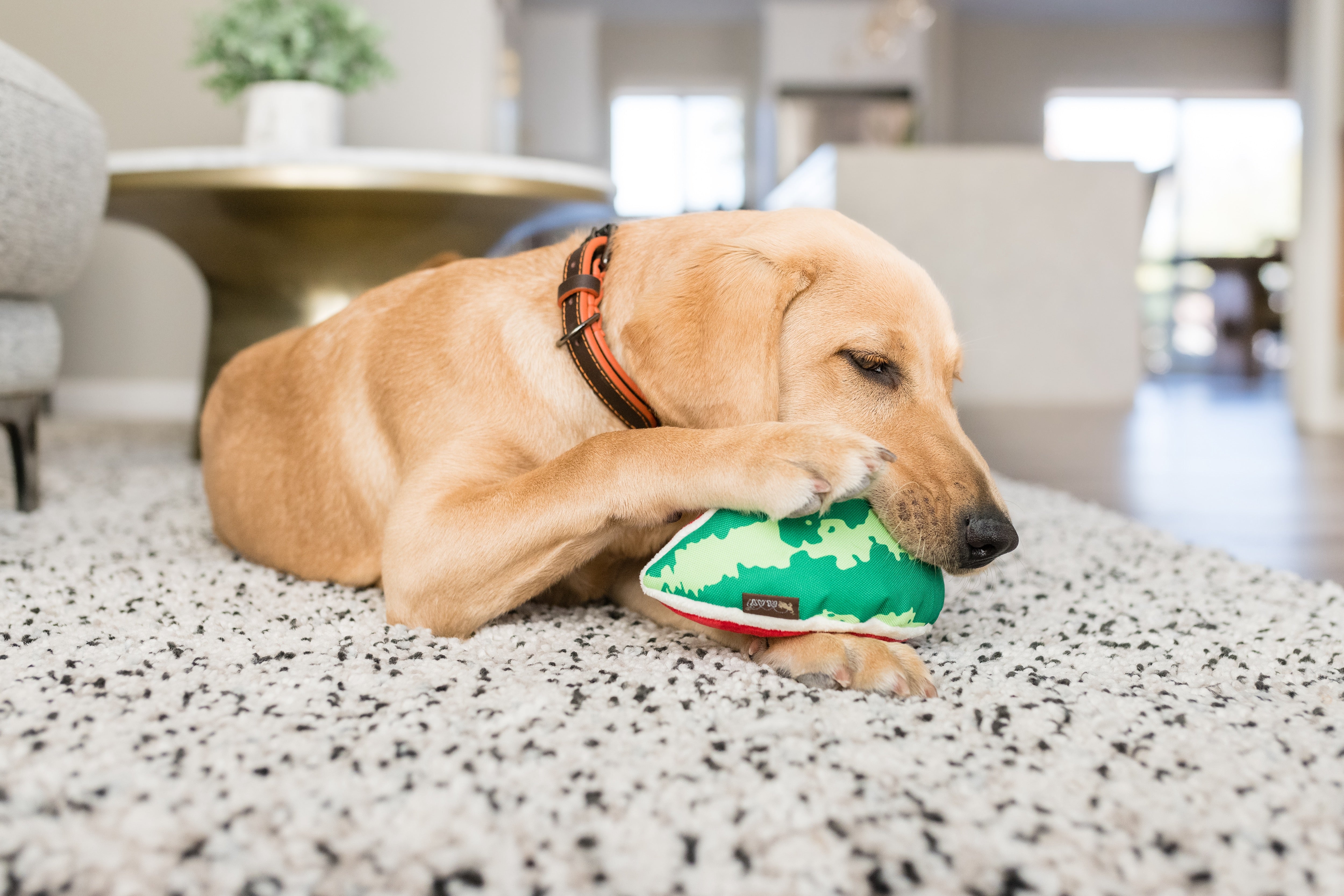 La Sandía - Juguete de Peluche para Perros Tropical Paradise™ | Pet P.L.A.Y.