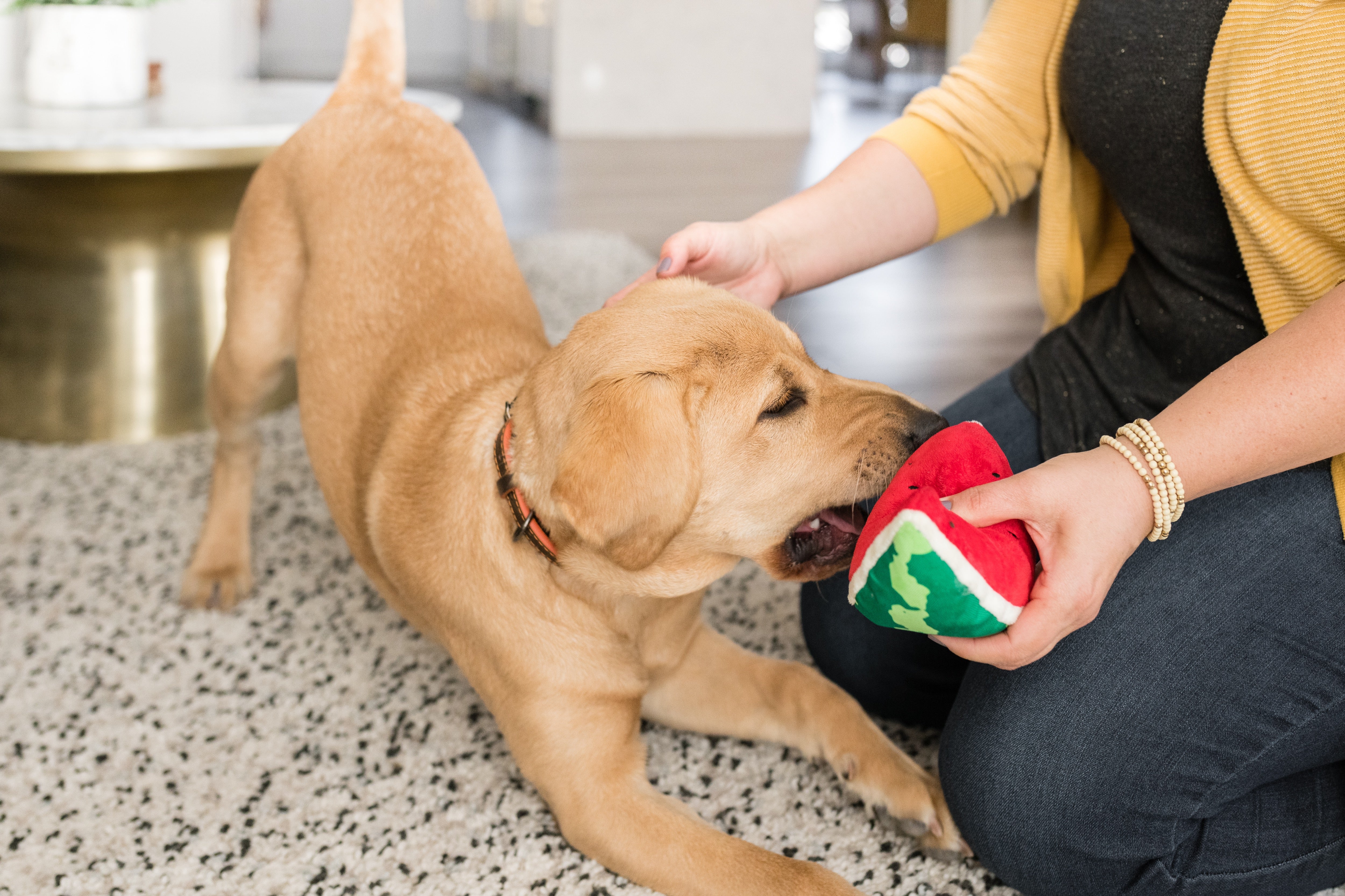 La Sandía - Juguete de Peluche para Perros Tropical Paradise™ | Pet P.L.A.Y.