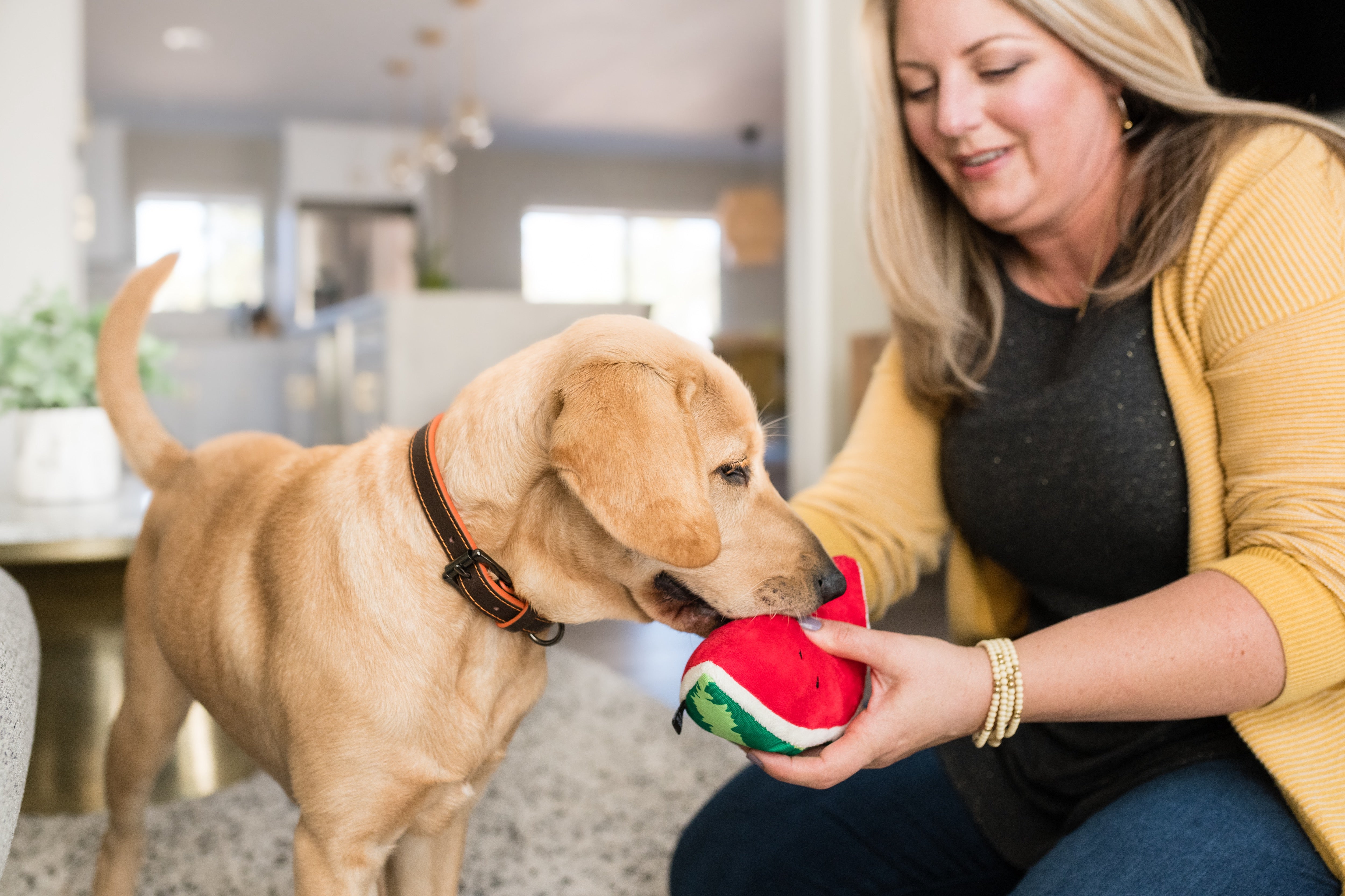 La Sandía - Juguete de Peluche para Perros Tropical Paradise™ | Pet P.L.A.Y.