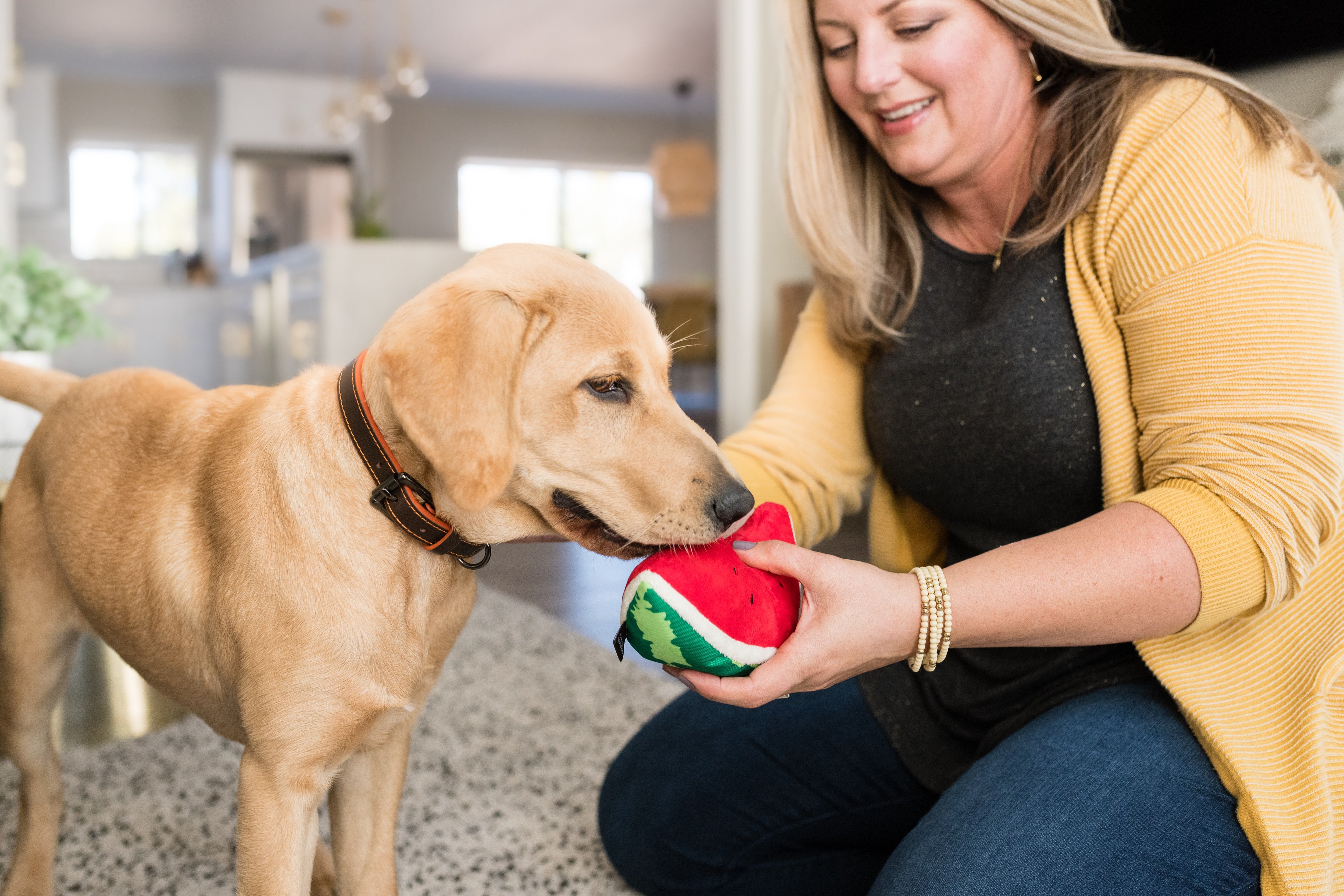 La Sandía - Juguete de Peluche para Perros Tropical Paradise™ | Pet P.L.A.Y.