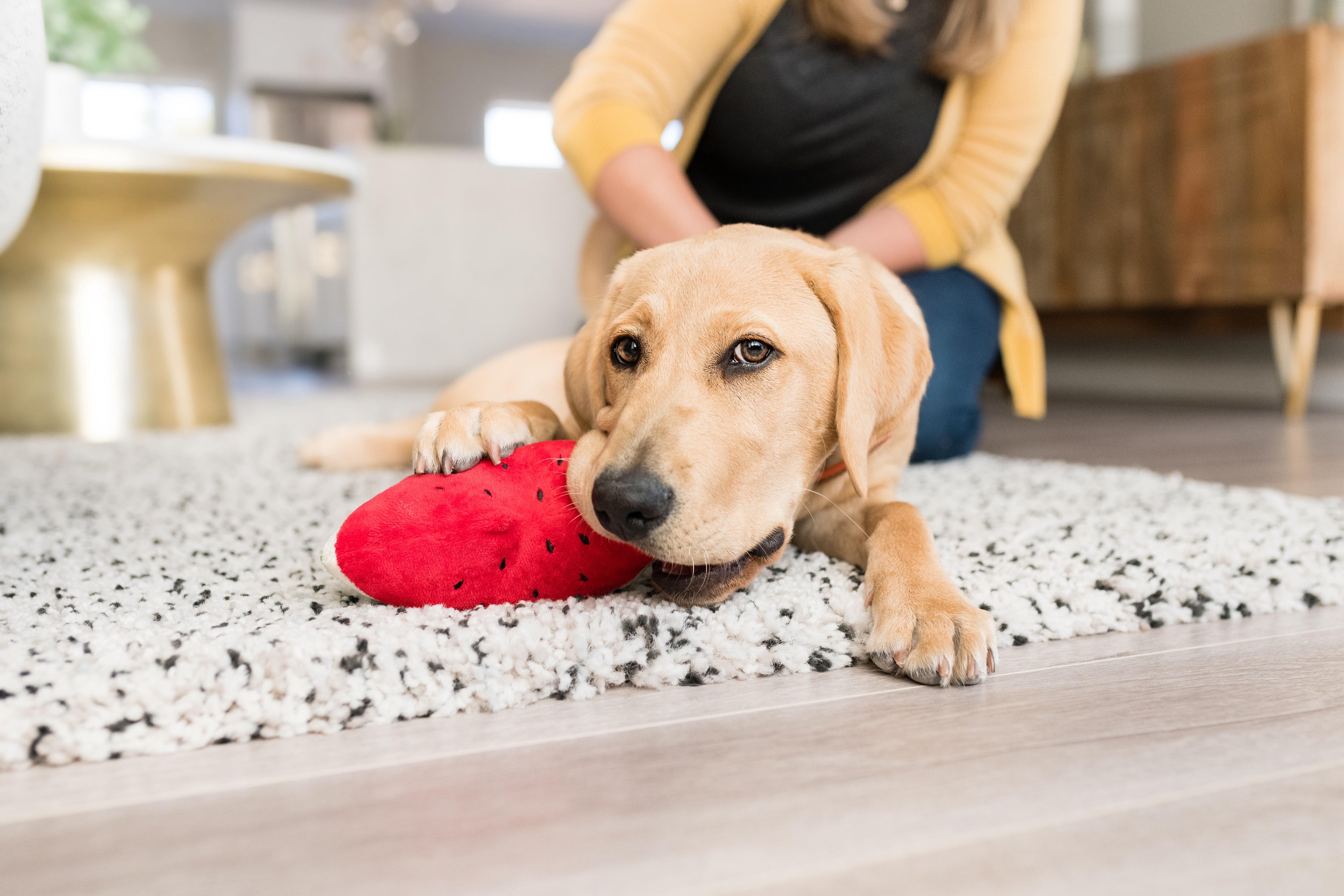 La Sandía - Juguete de Peluche para Perros Tropical Paradise™ | Pet P.L.A.Y.