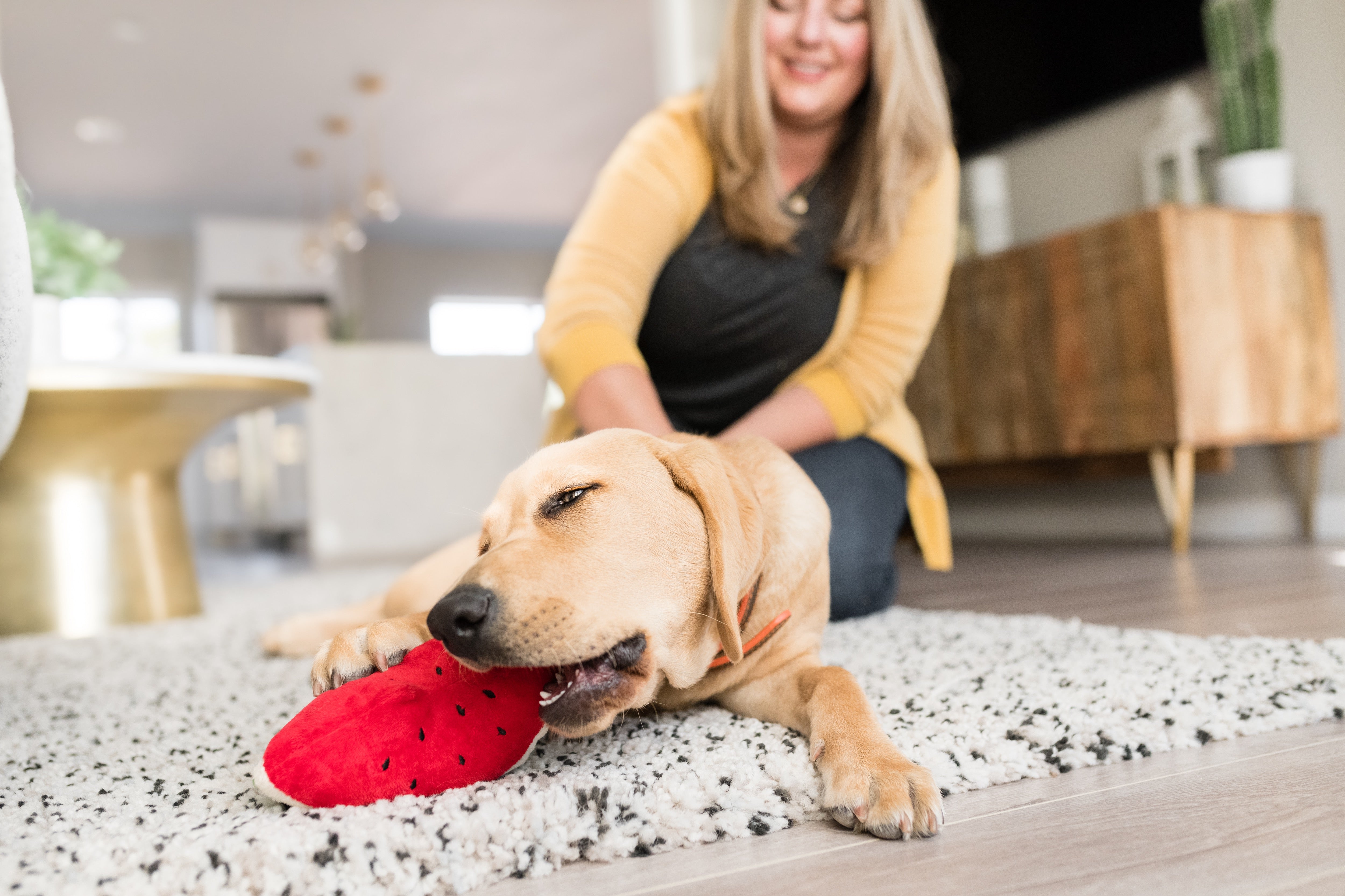 La Sandía - Juguete de Peluche para Perros Tropical Paradise™ | Pet P.L.A.Y.