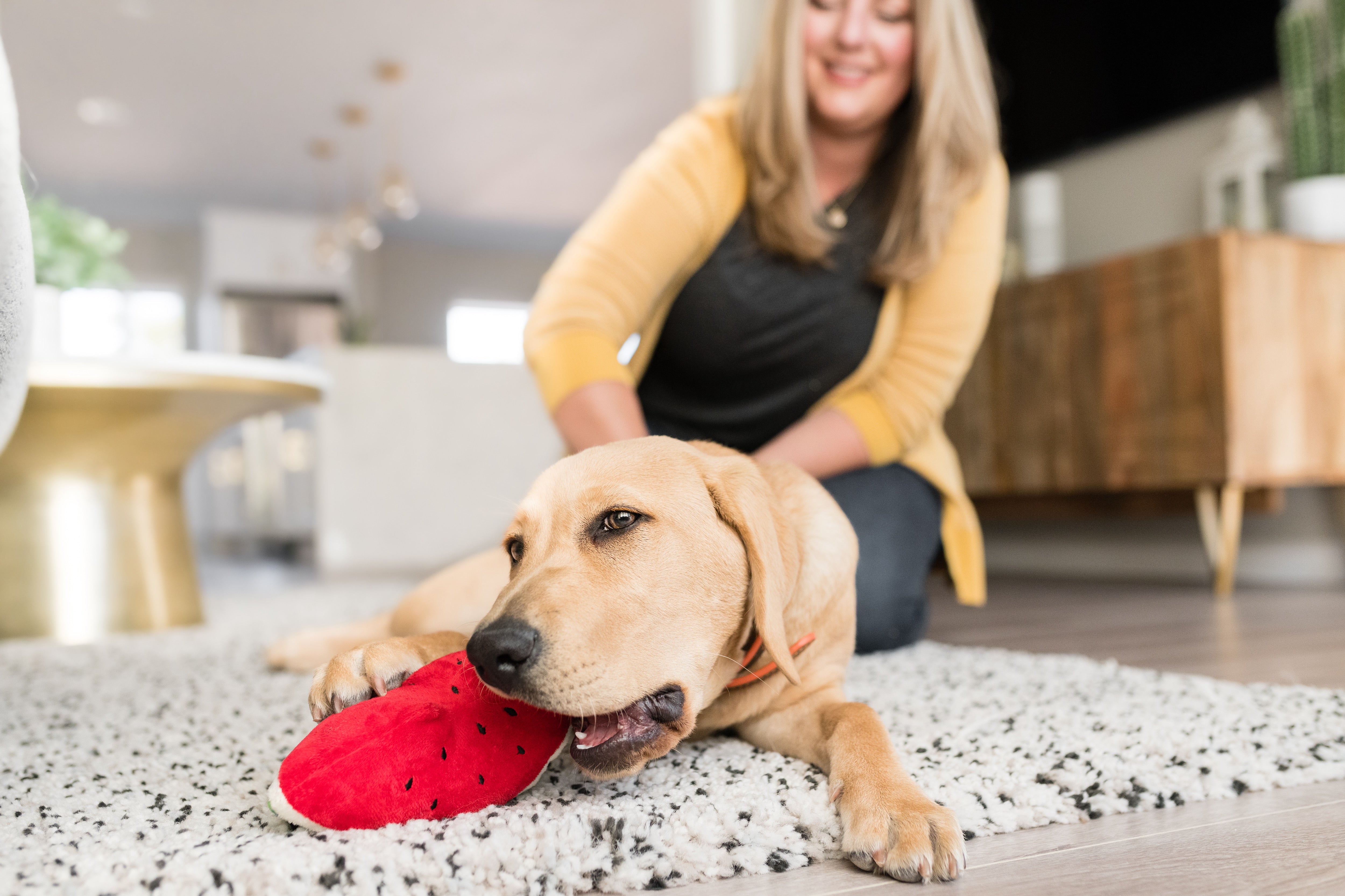 La Sandía - Juguete de Peluche para Perros Tropical Paradise™ | Pet P.L.A.Y.