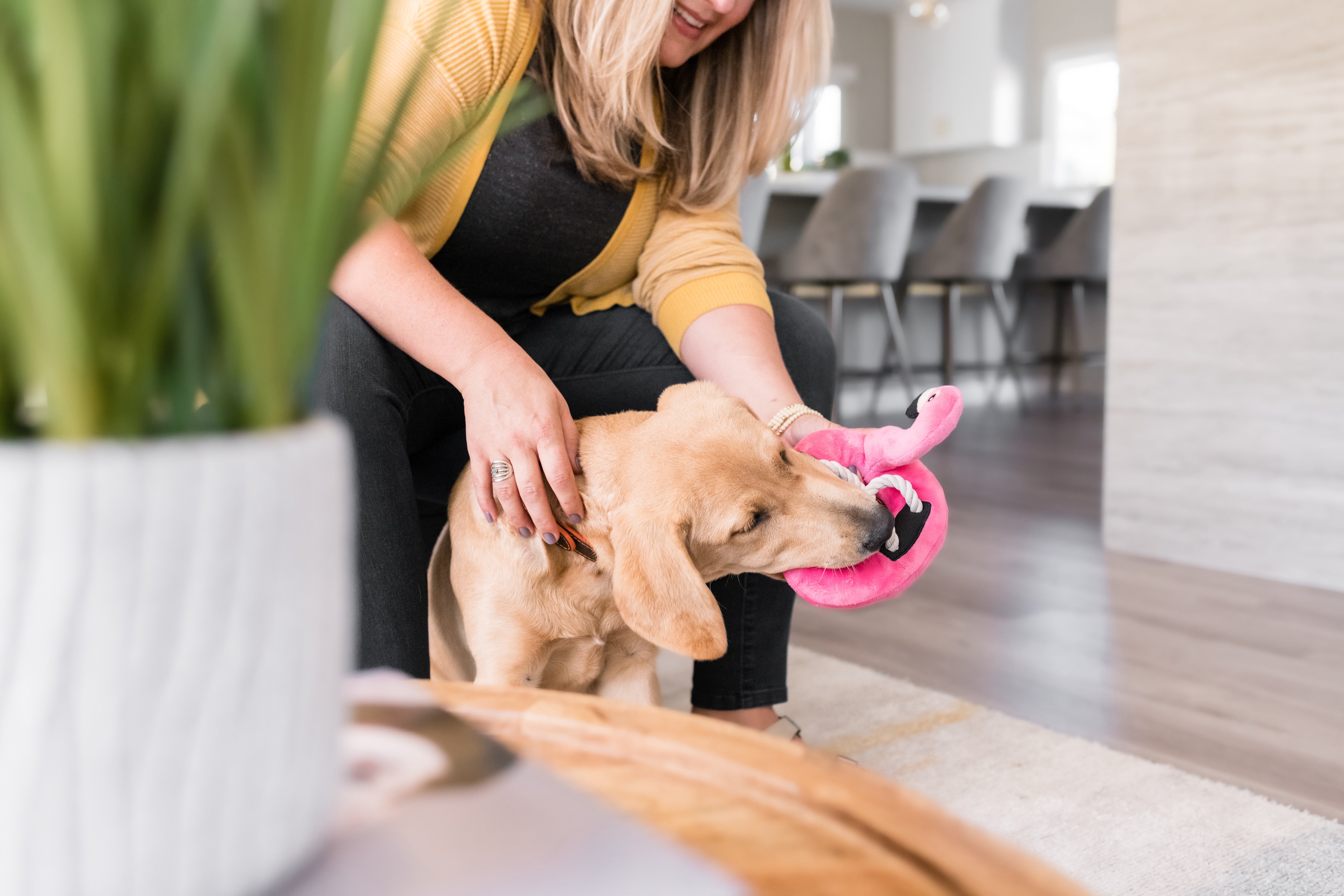 El Flamenco Flotante - Juguete de Peluche para Perros Tropical Paradise™ | Pet P.L.A.Y.