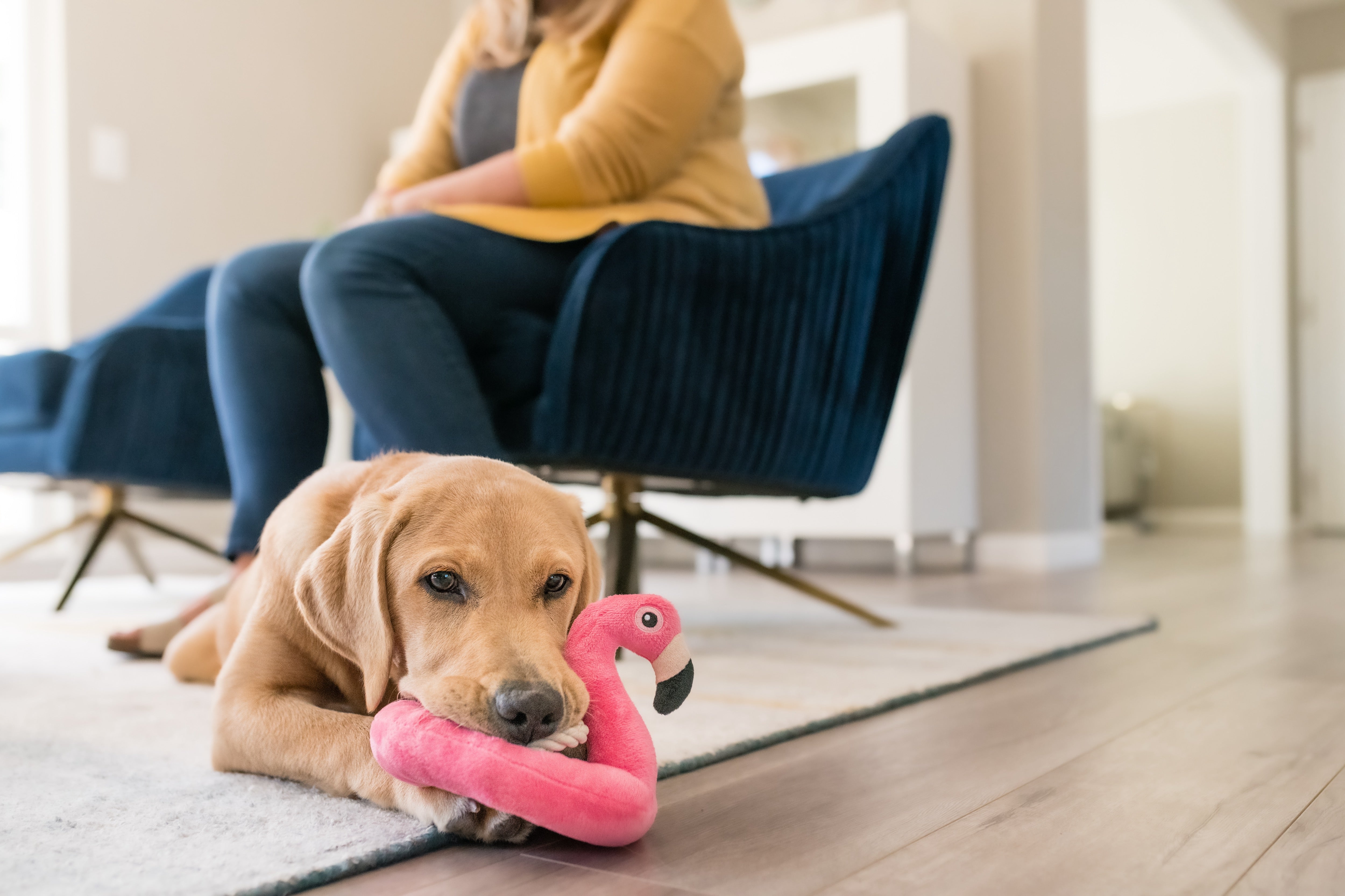 El Flamenco Flotante - Juguete de Peluche para Perros Tropical Paradise™ | Pet P.L.A.Y.