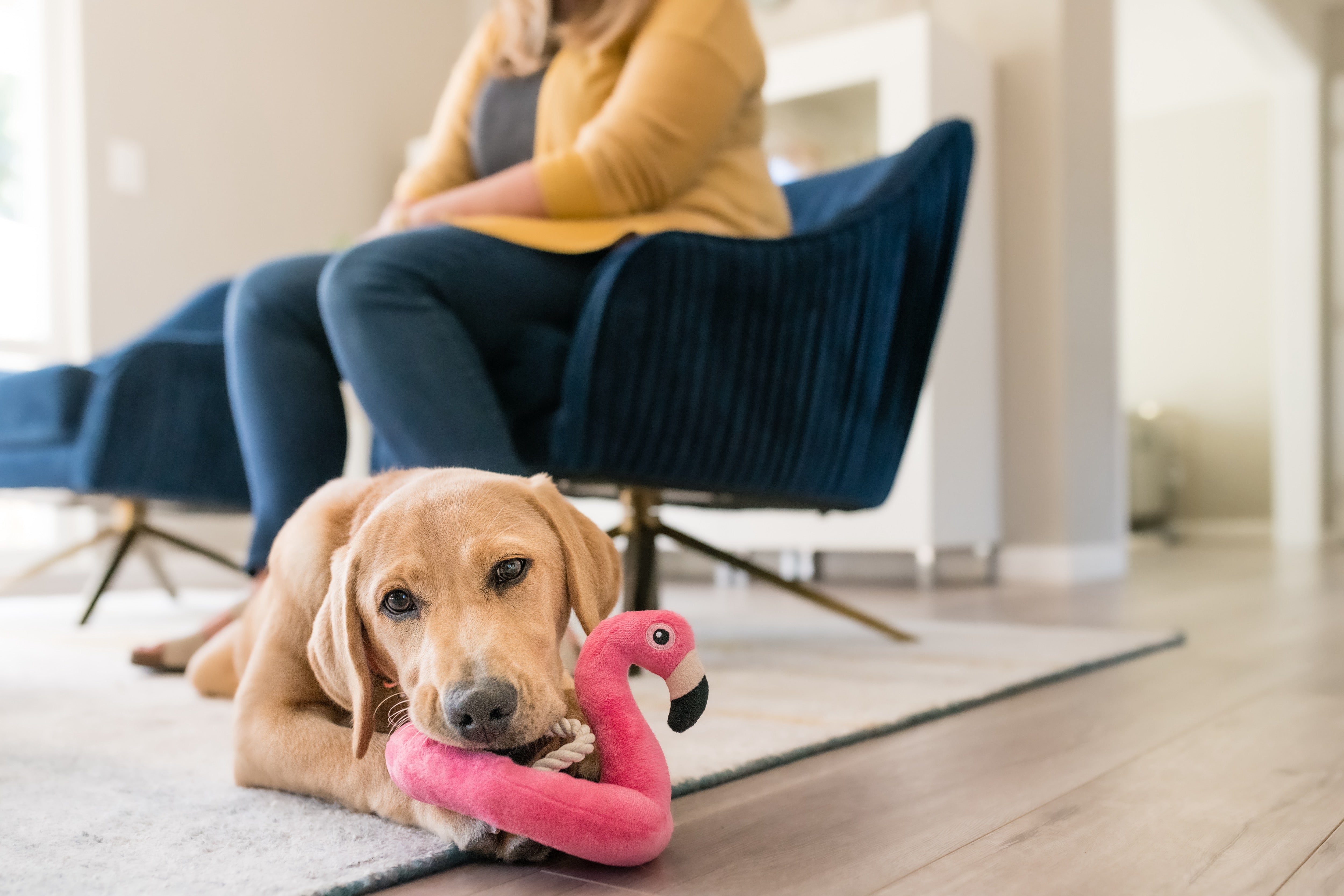 El Flamenco Flotante - Juguete de Peluche para Perros Tropical Paradise™ | Pet P.L.A.Y.