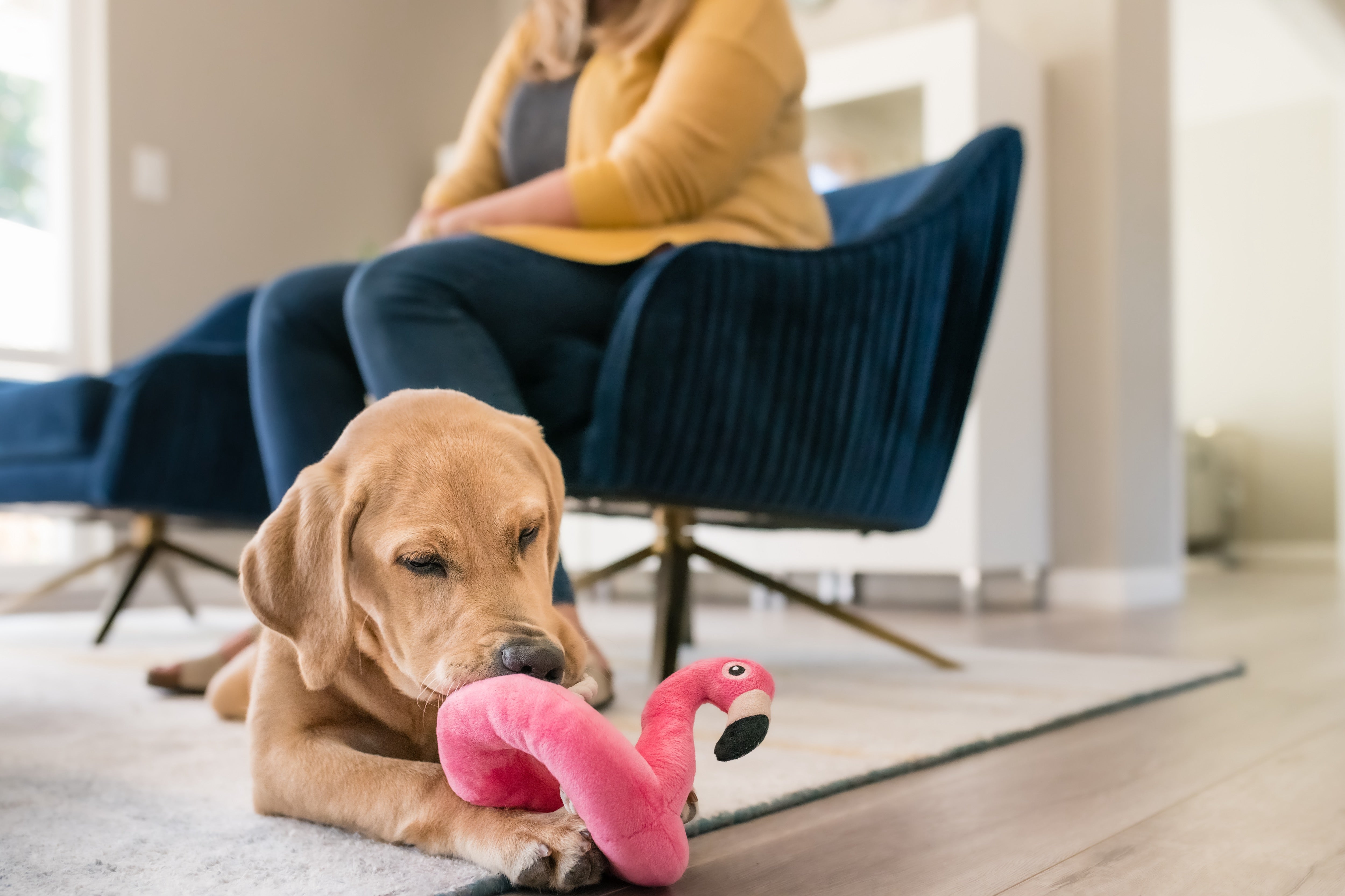 El Flamenco Flotante - Juguete de Peluche para Perros Tropical Paradise™ | Pet P.L.A.Y.