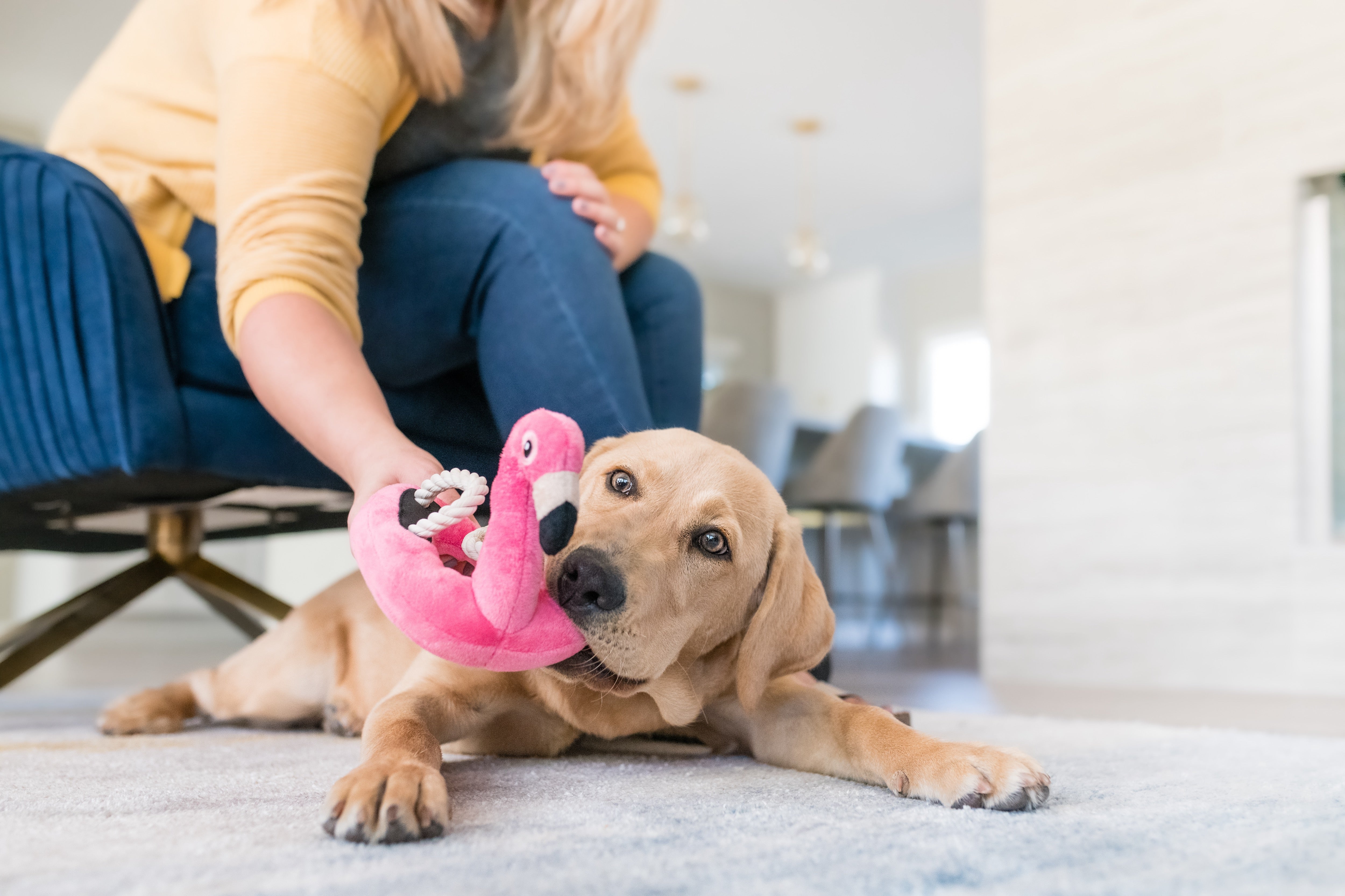 El Flamenco Flotante - Juguete de Peluche para Perros Tropical Paradise™ | Pet P.L.A.Y.