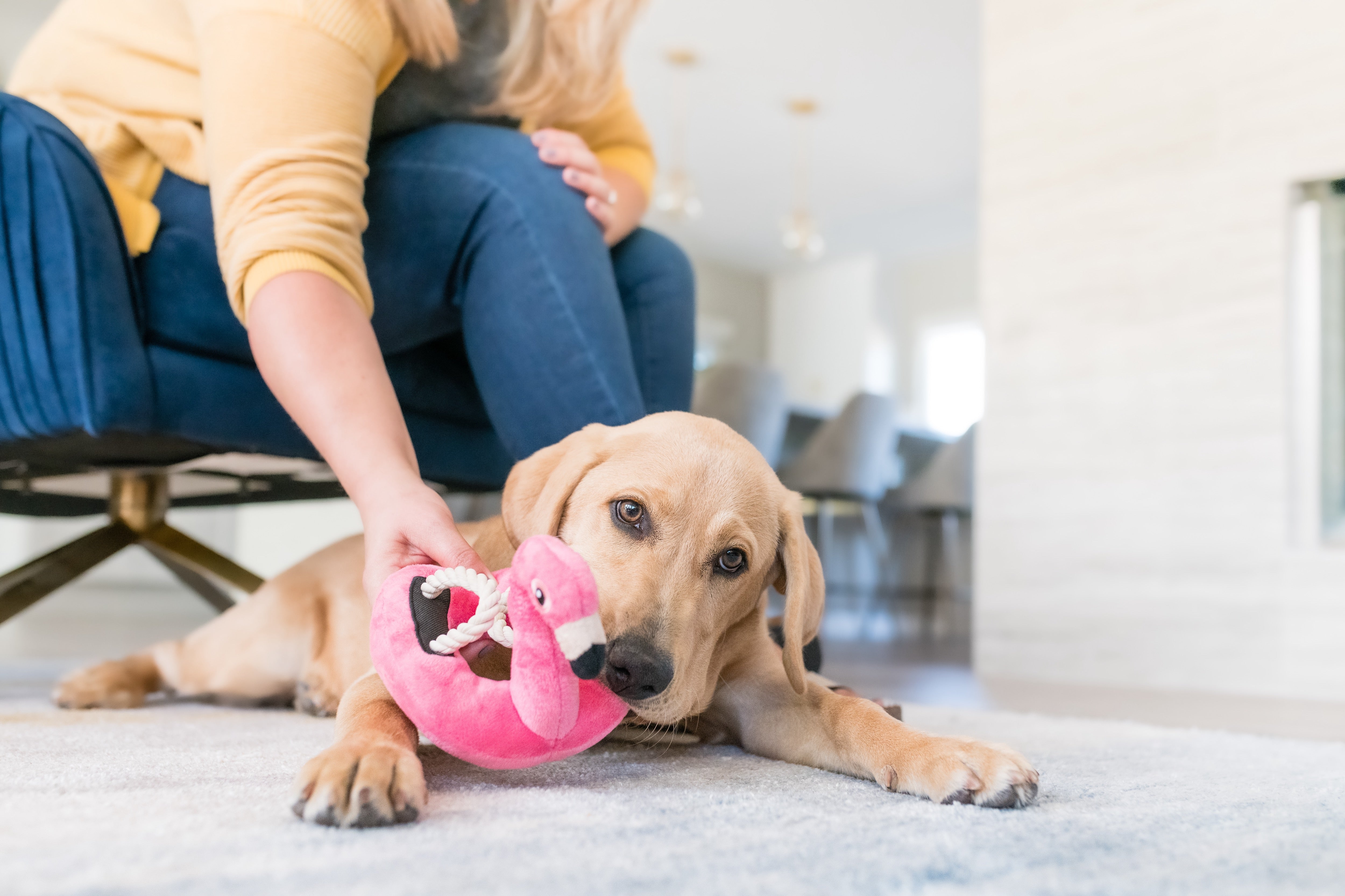 El Flamenco Flotante - Juguete de Peluche para Perros Tropical Paradise™ | Pet P.L.A.Y.