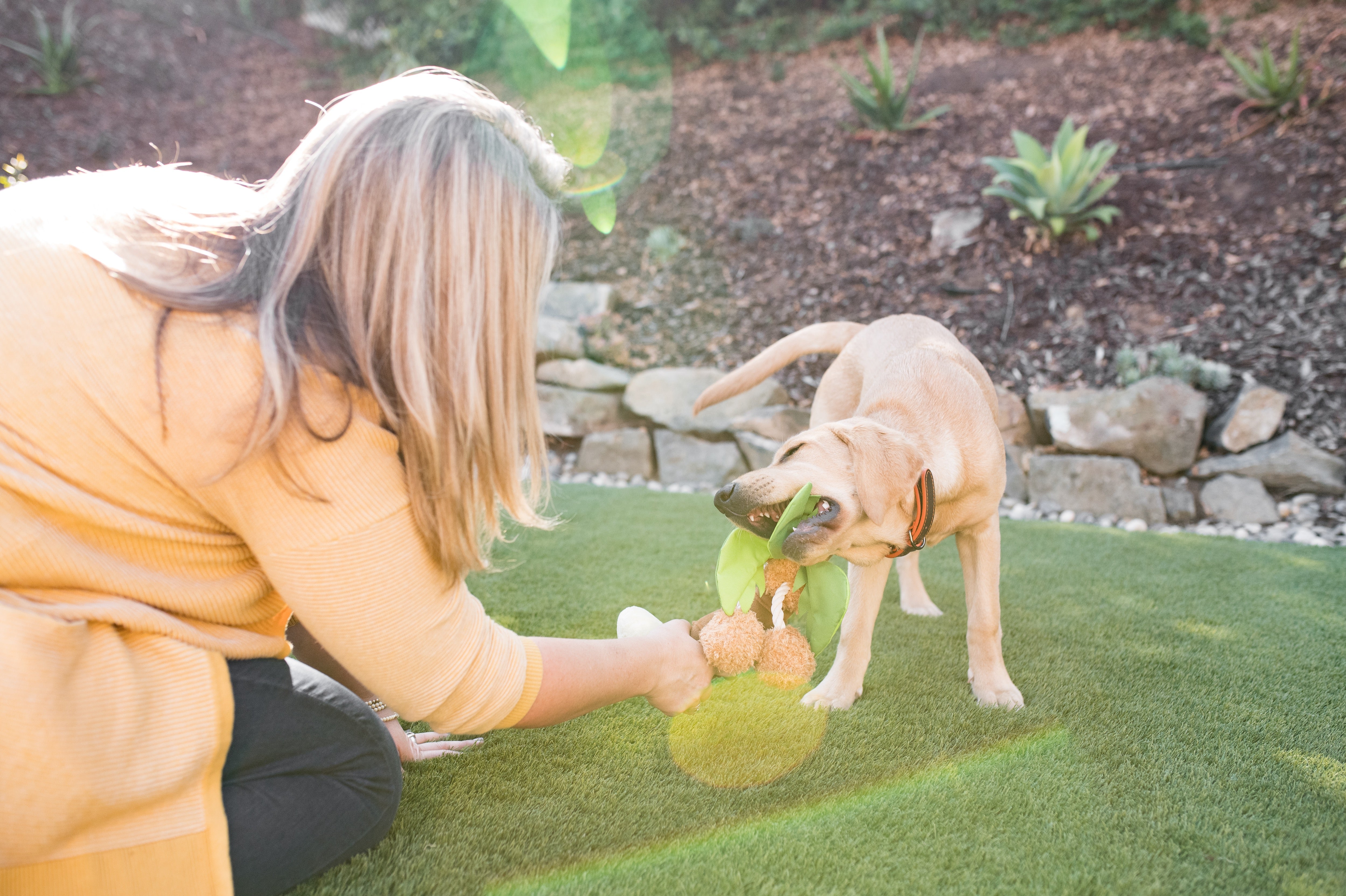 La Palma - Juguete de Peluche para Perros Tropical Paradise™ | Pet P.L.A.Y.