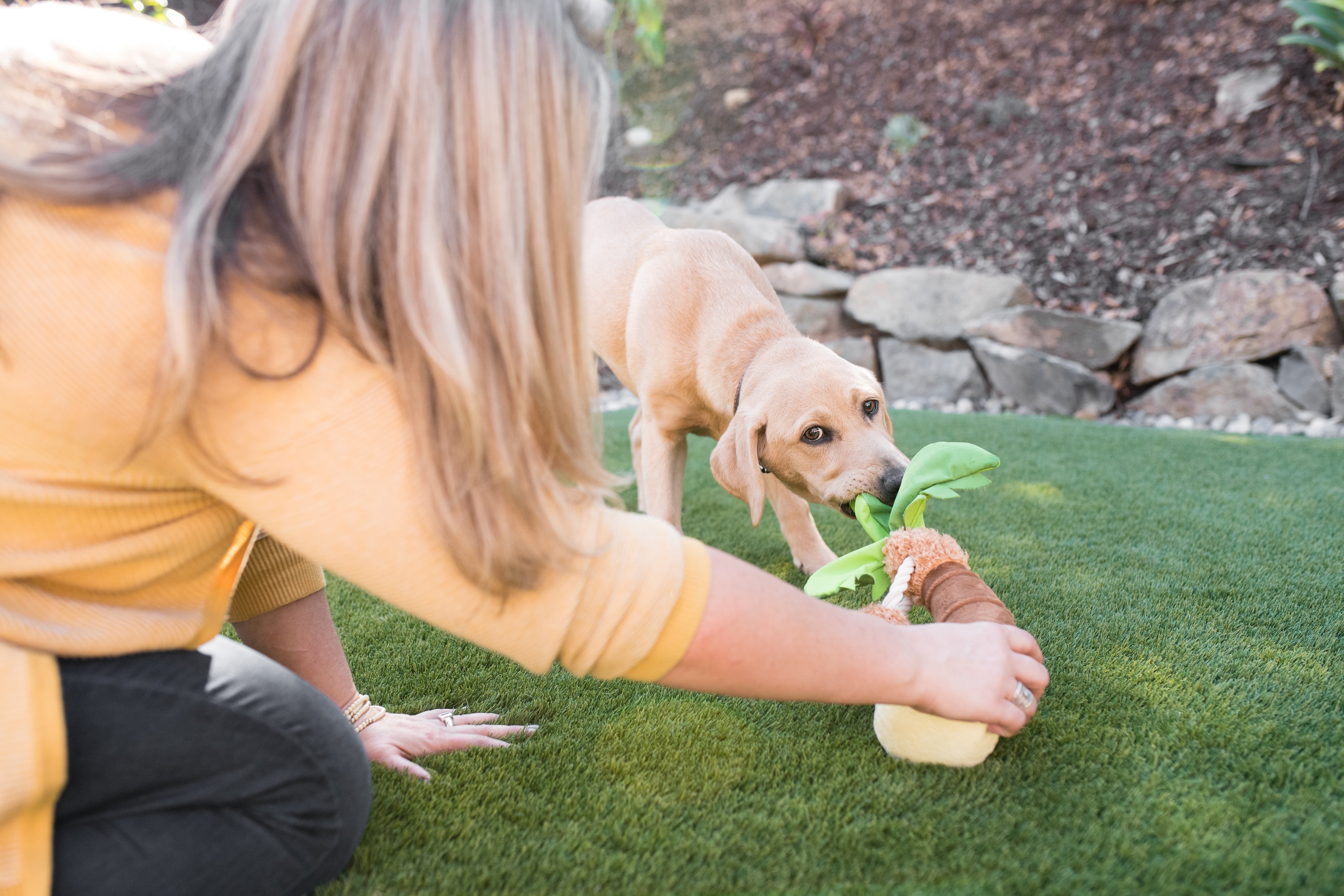 La Palma - Juguete de Peluche para Perros Tropical Paradise™ | Pet P.L.A.Y.