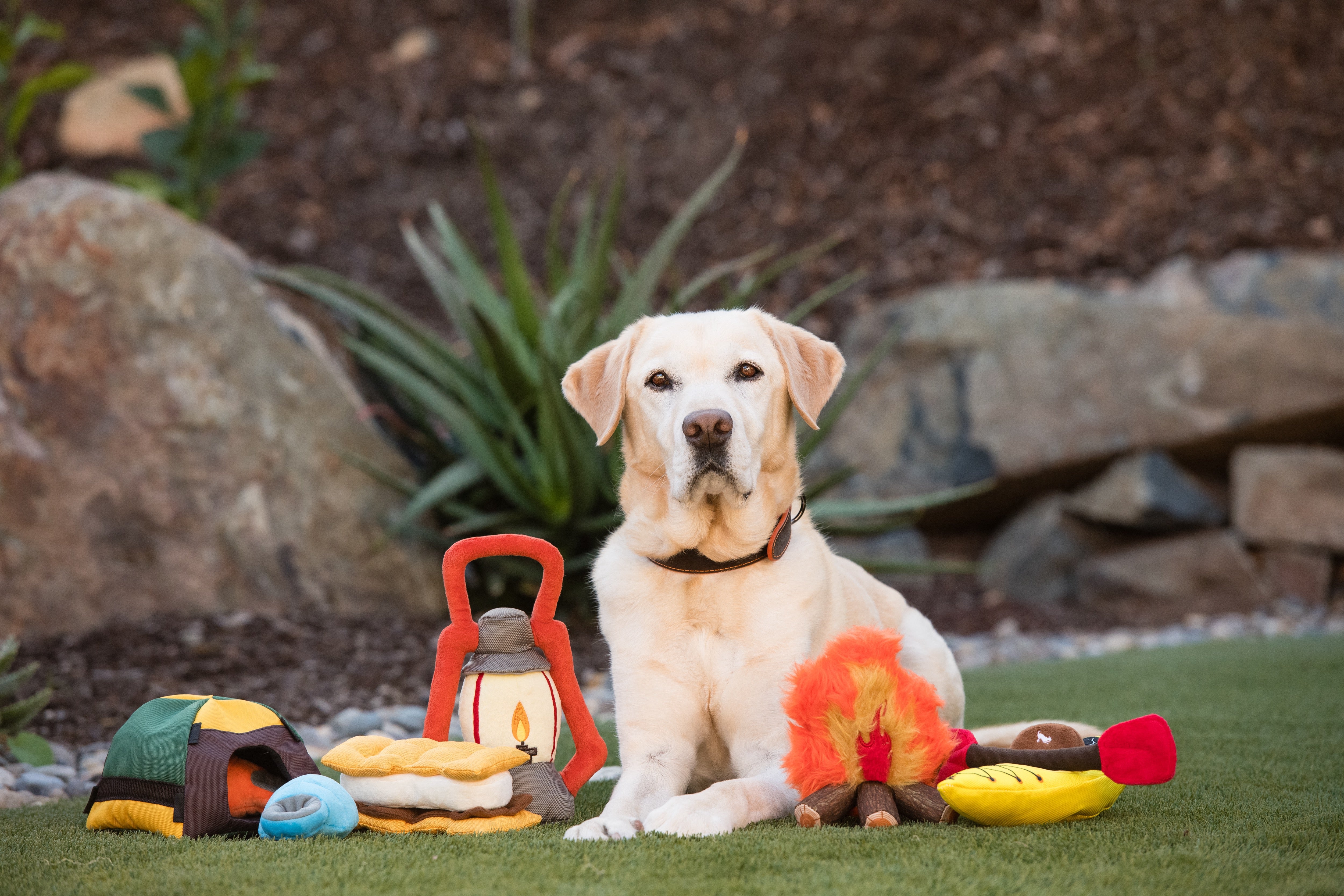 El Kayak - Juguete de Peluche para Perros Camp Corbin™ | Pet P.L.A.Y.