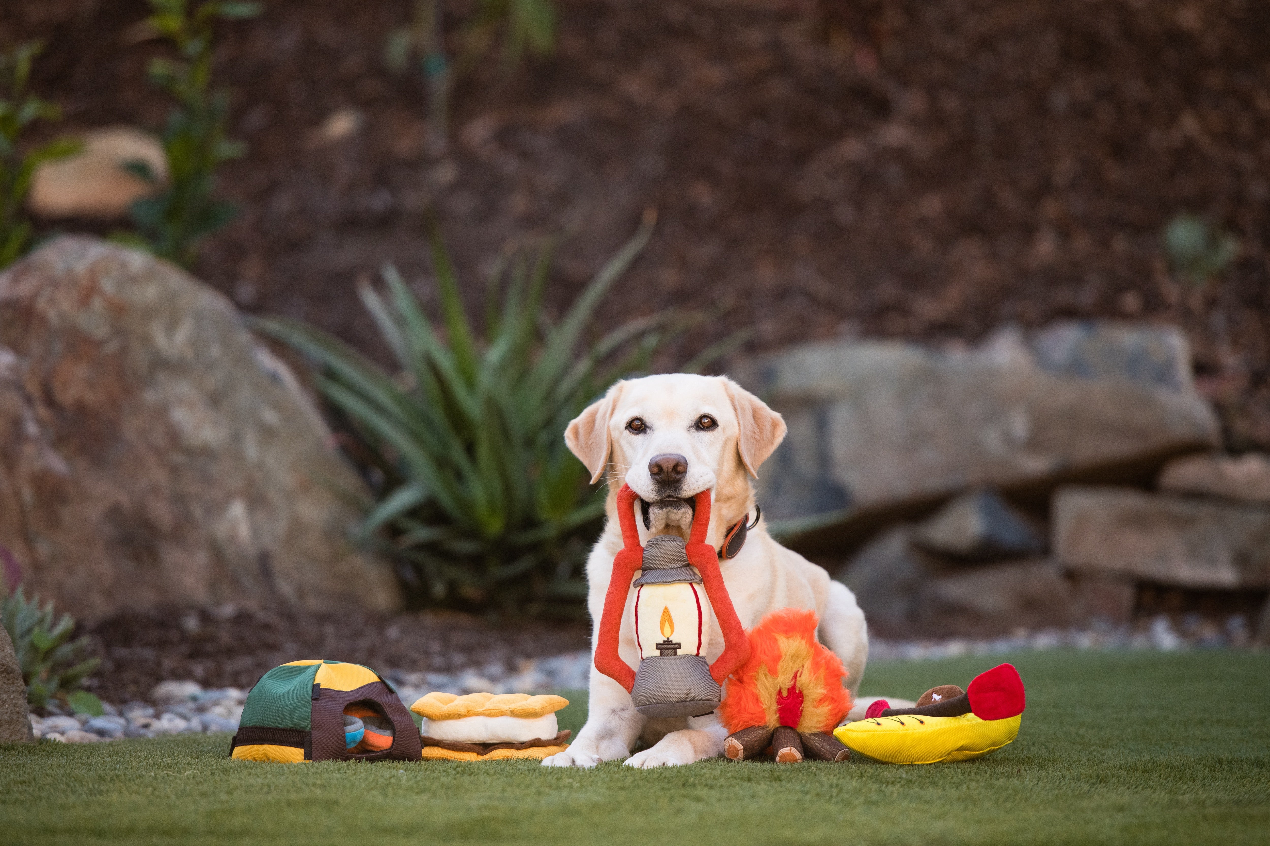 La Tienda de Campaña - Juguete de Peluche para Perros Camp Corbin™ | Pet P.L.A.Y.