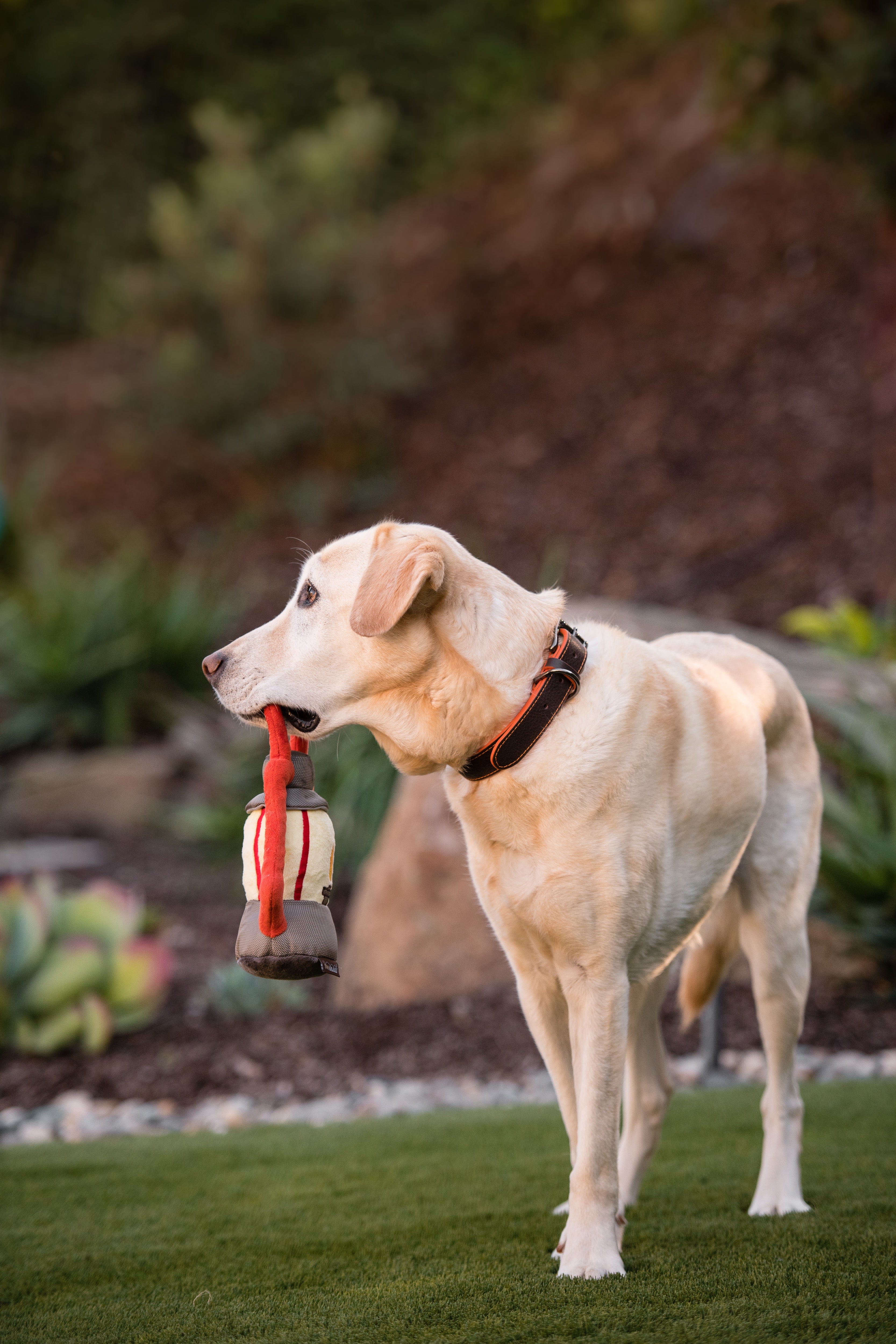 La Linterna - Juguete de Peluche para Perros Camp Corbin™ | Pet P.L.A.Y.